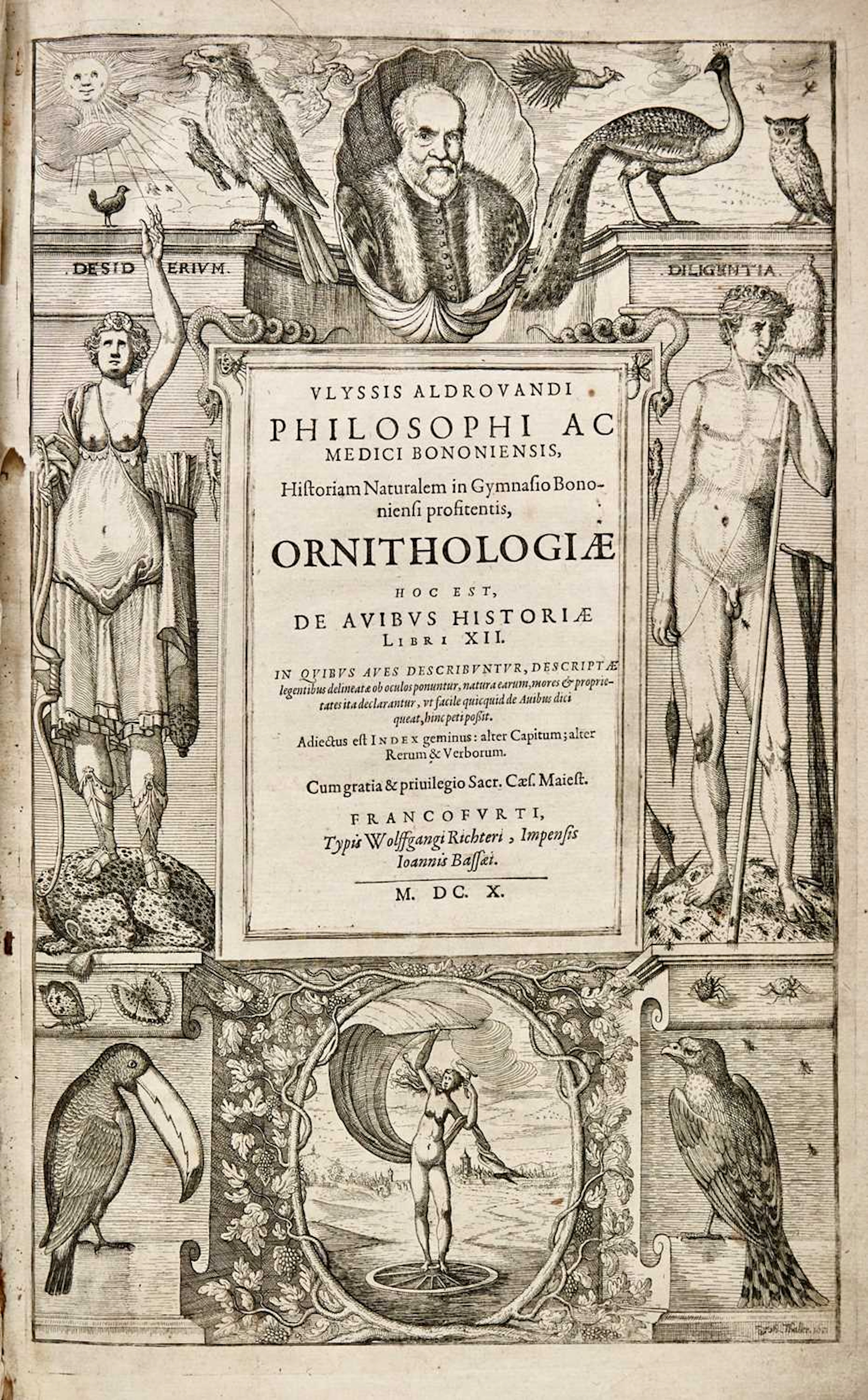 A Frankfurt piracy of Aldrovandi's Ornithologiae