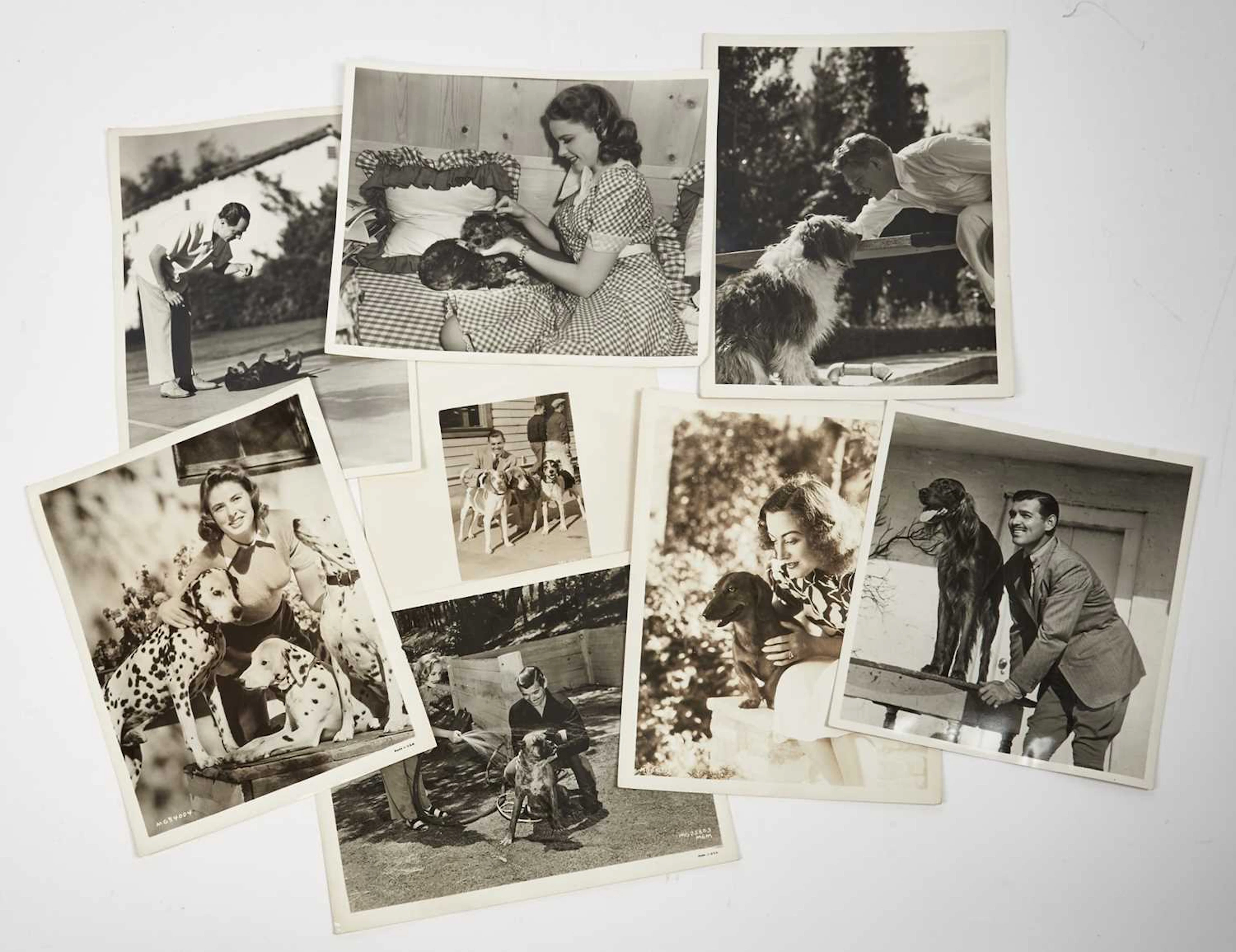 Collection of Hollywood photographs depicting actors with dogs