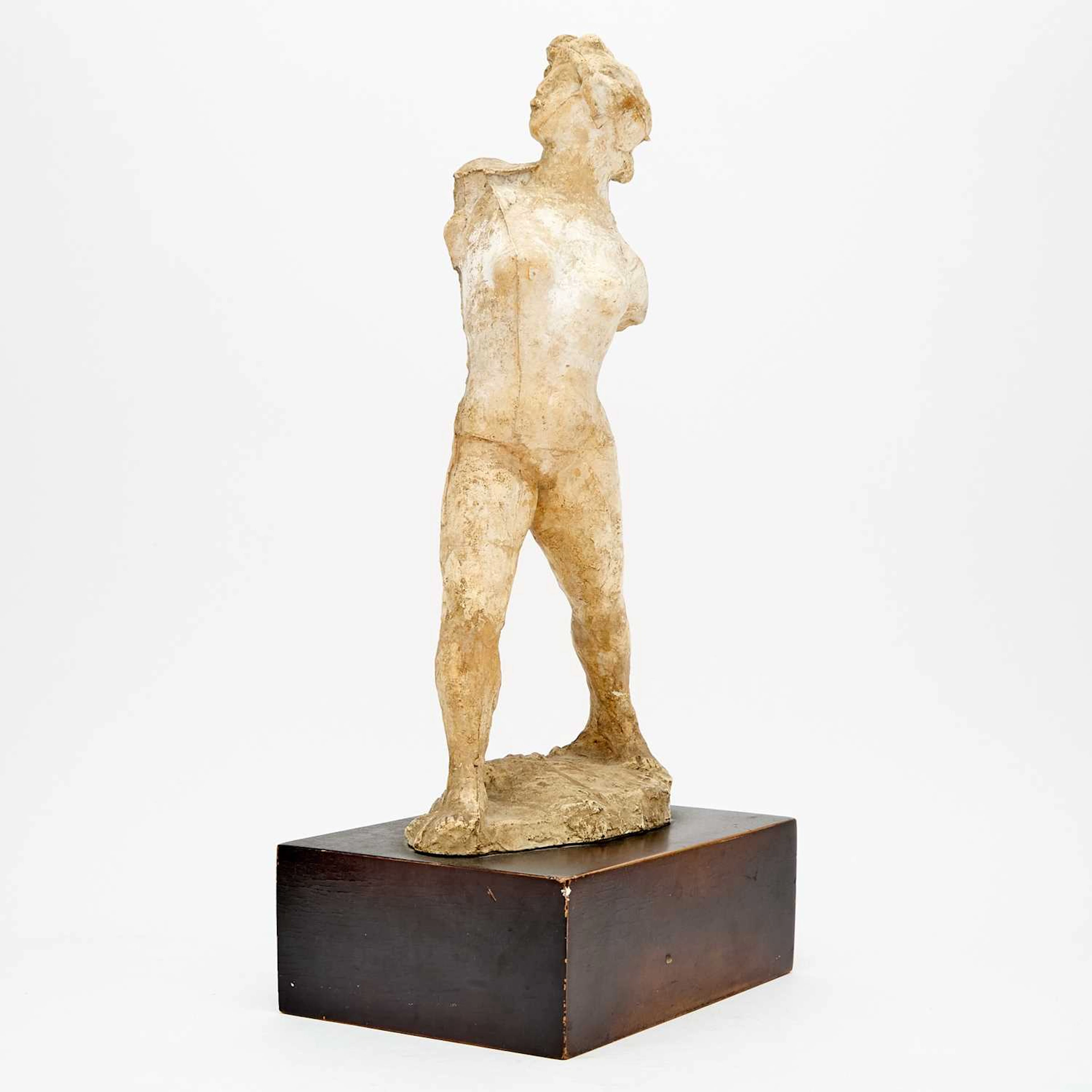 Aristide Maillol