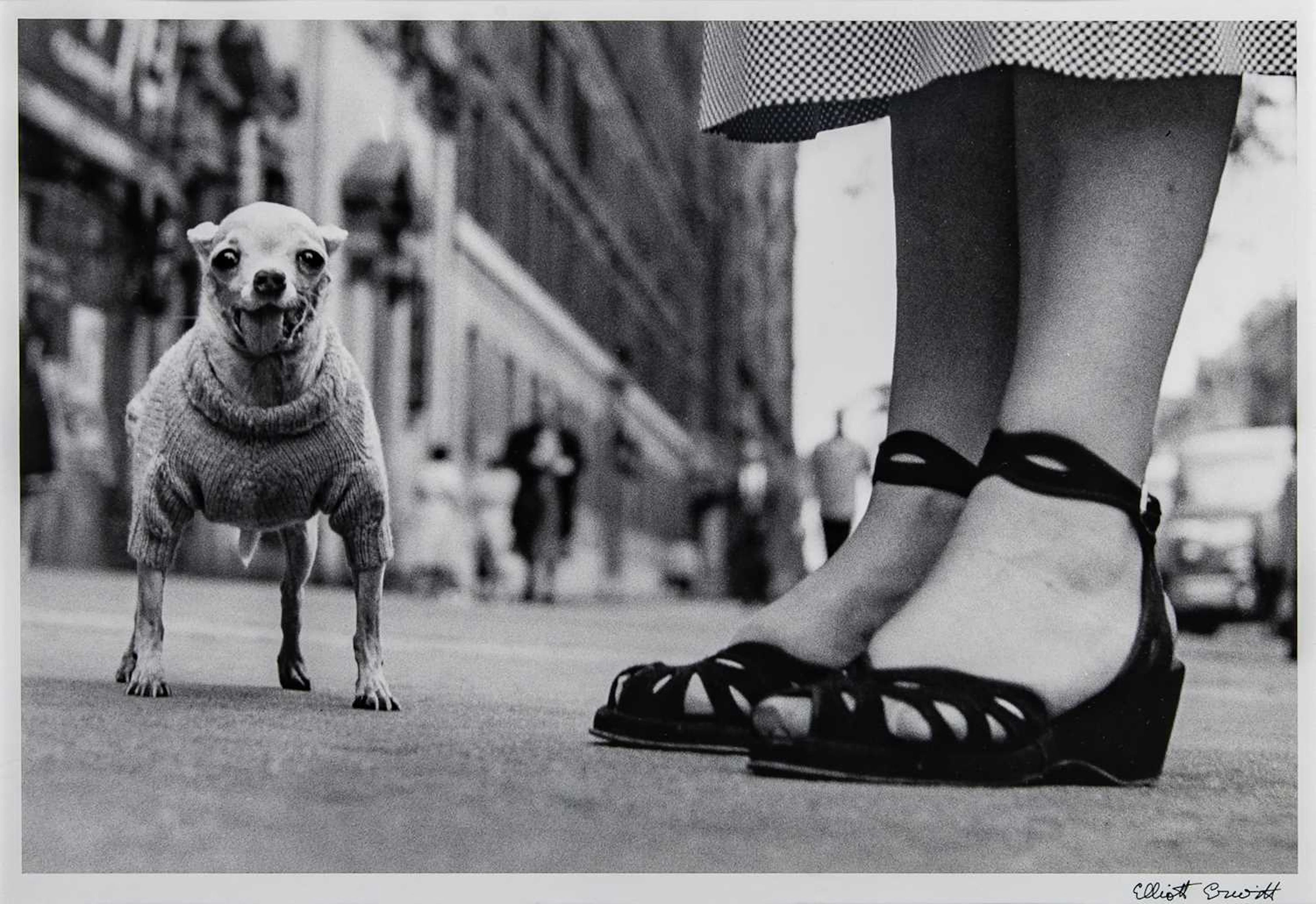 Elliott Erwitt, New York City (Dog and Feet), 1946.