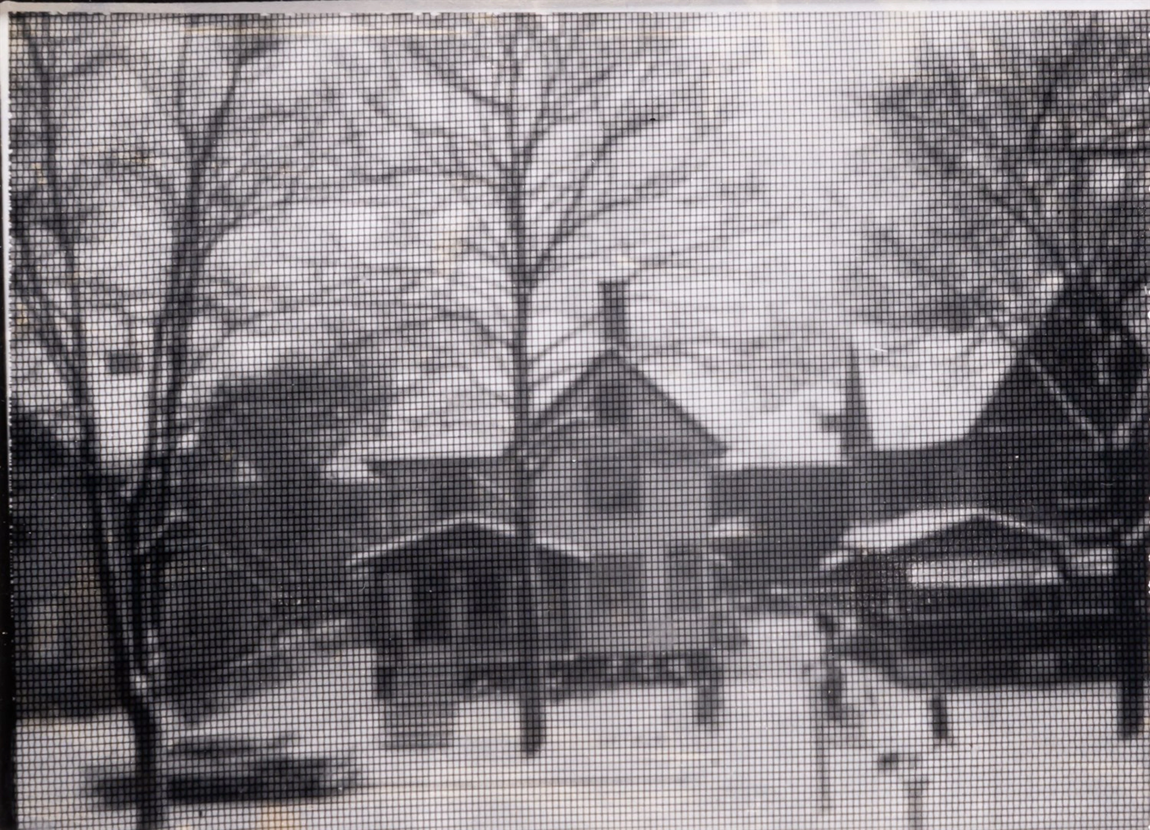 Ansel Adams, Rundel Park through Window Screen, Rochester, New York, 1960