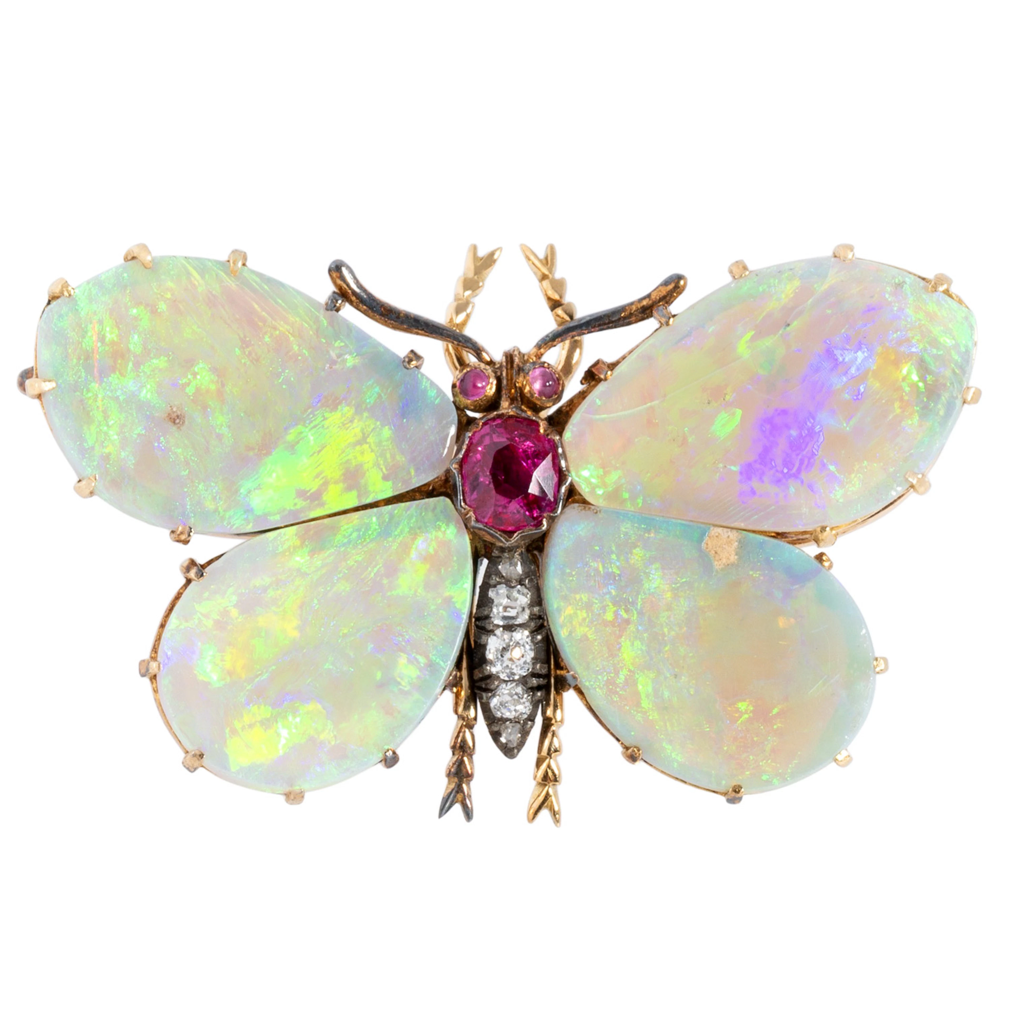 Entzückende Historismus Brosche "Schmetterling"