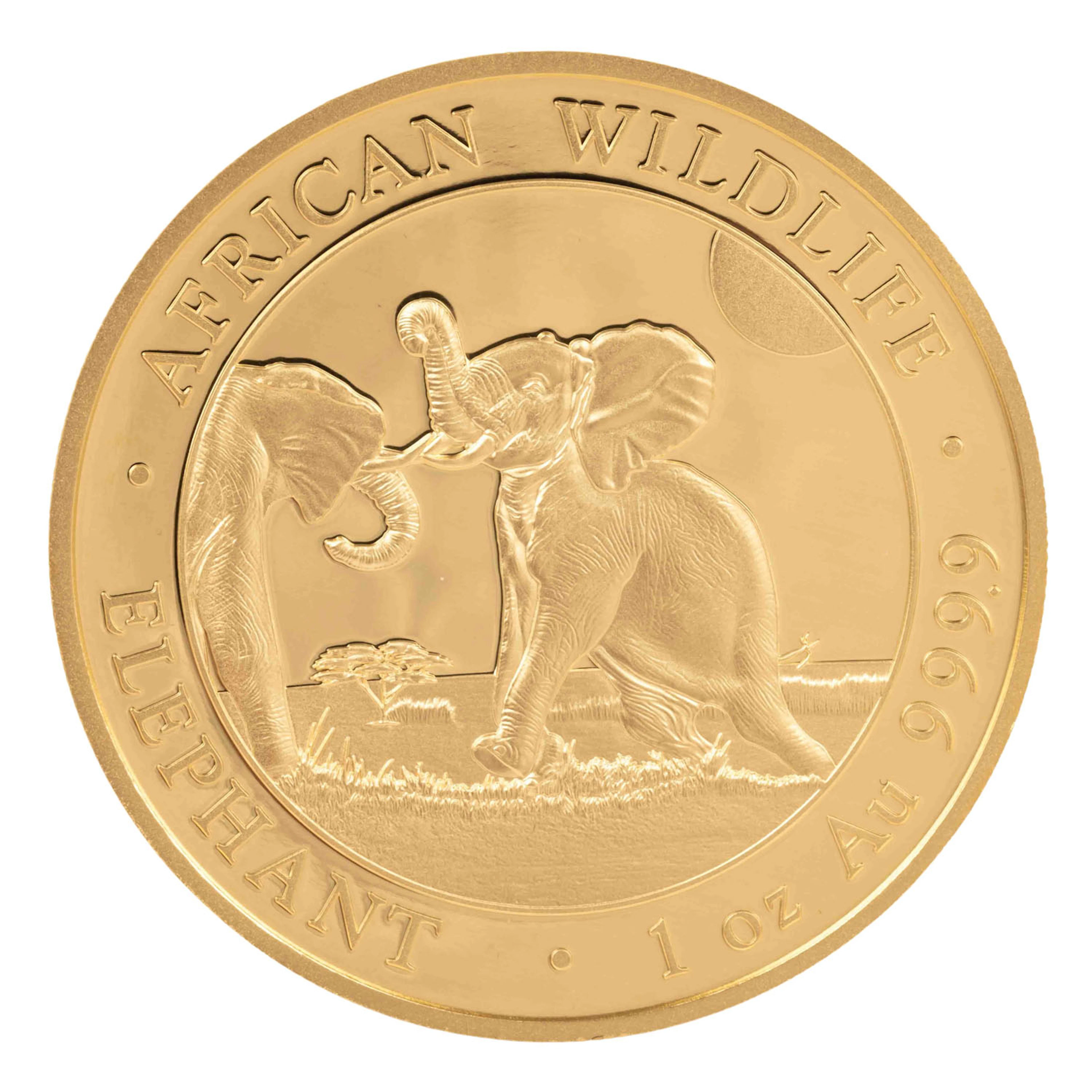 African Wildlife - Elephant 1 Unze Gold, 1.000 Shillings 2024 PP