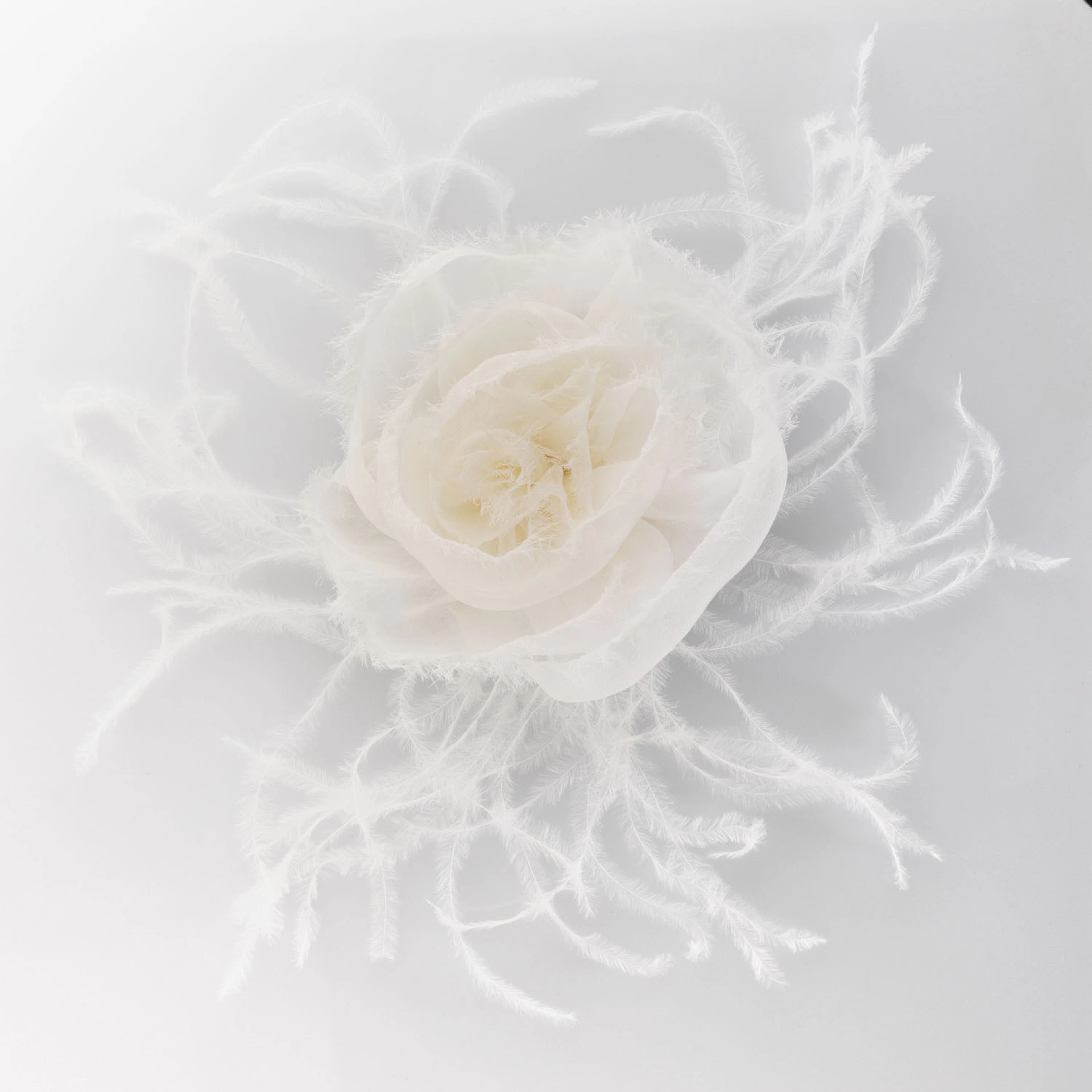 CHANEL Kamelienbrosche