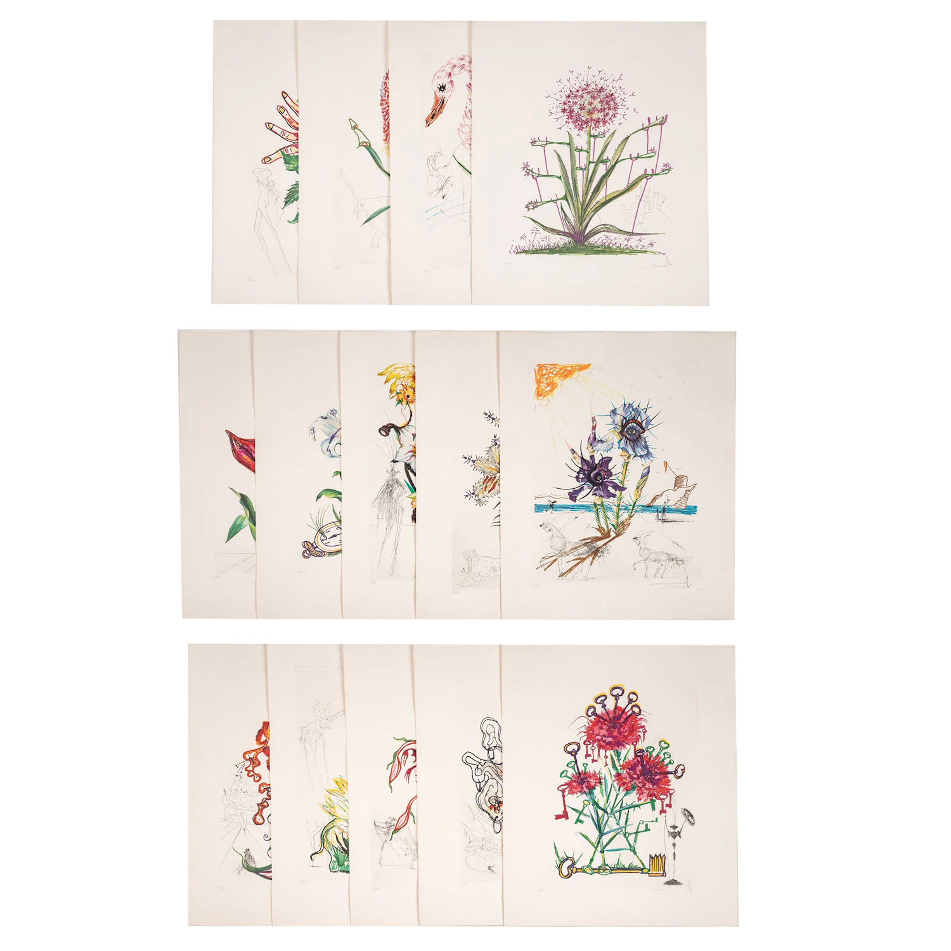 DALÍ, SALVADOR (1904-1989), 14 Blätter aus "Surrealistic Flowers"