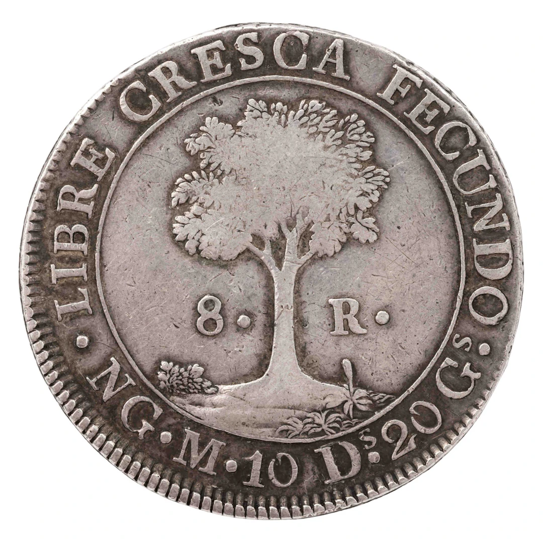 Zentralamerikanische Republik / SILBER 8 Reales 1835/NG M