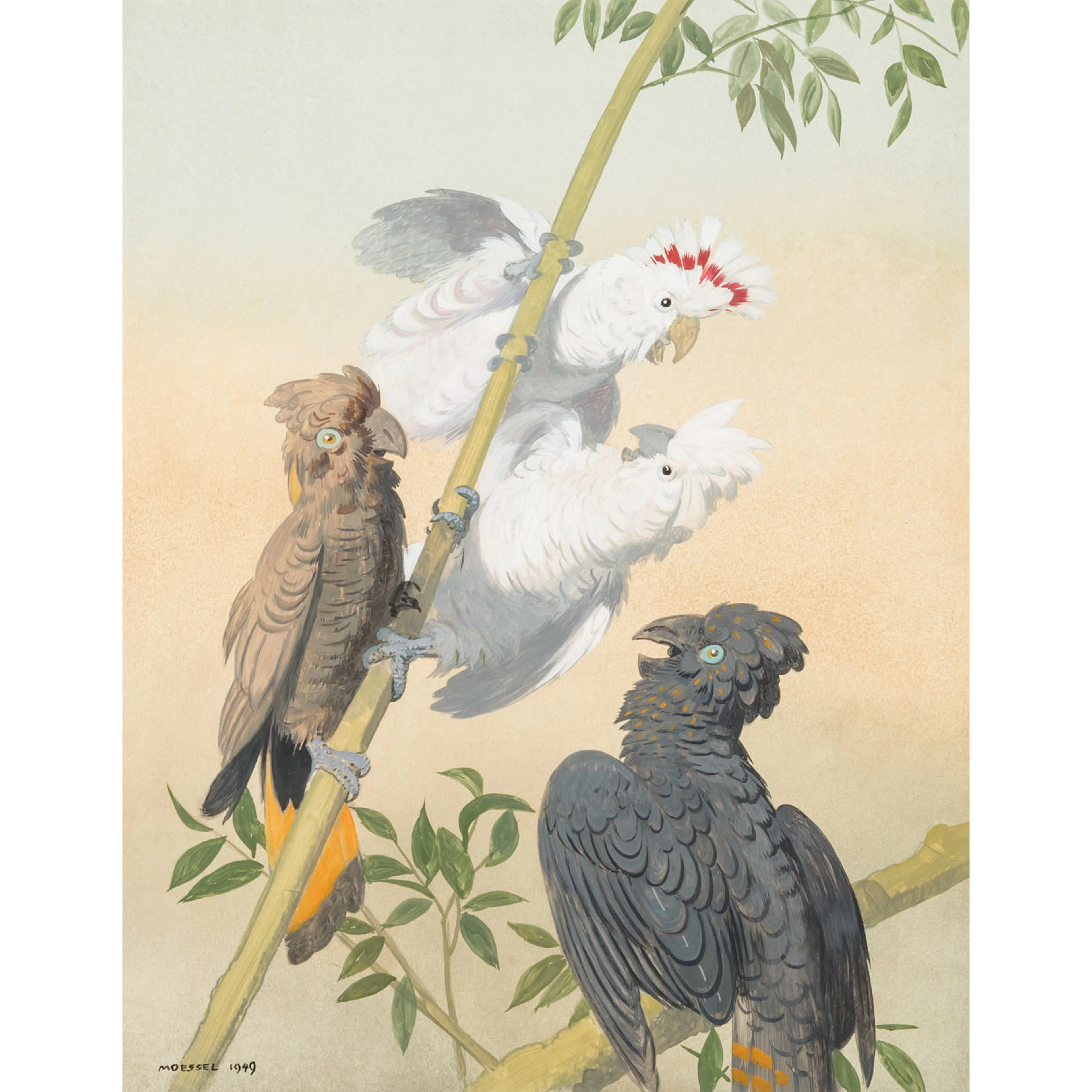 MÖSSEL, JULIUS ( 1872-1960), "Kakadus und Keas", 1949