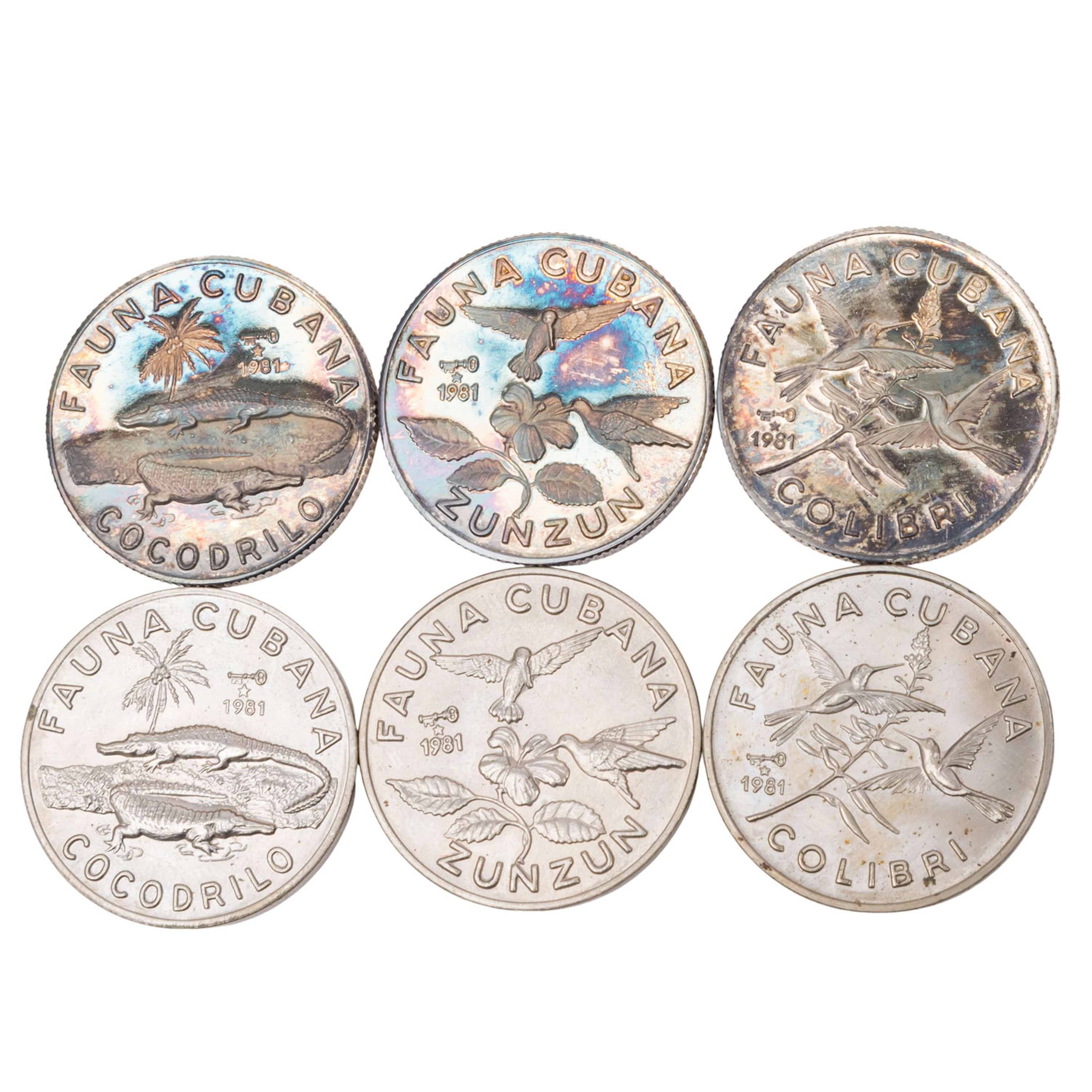 Kuba/SILBER – 6 x Pesos 1981, Fauna
