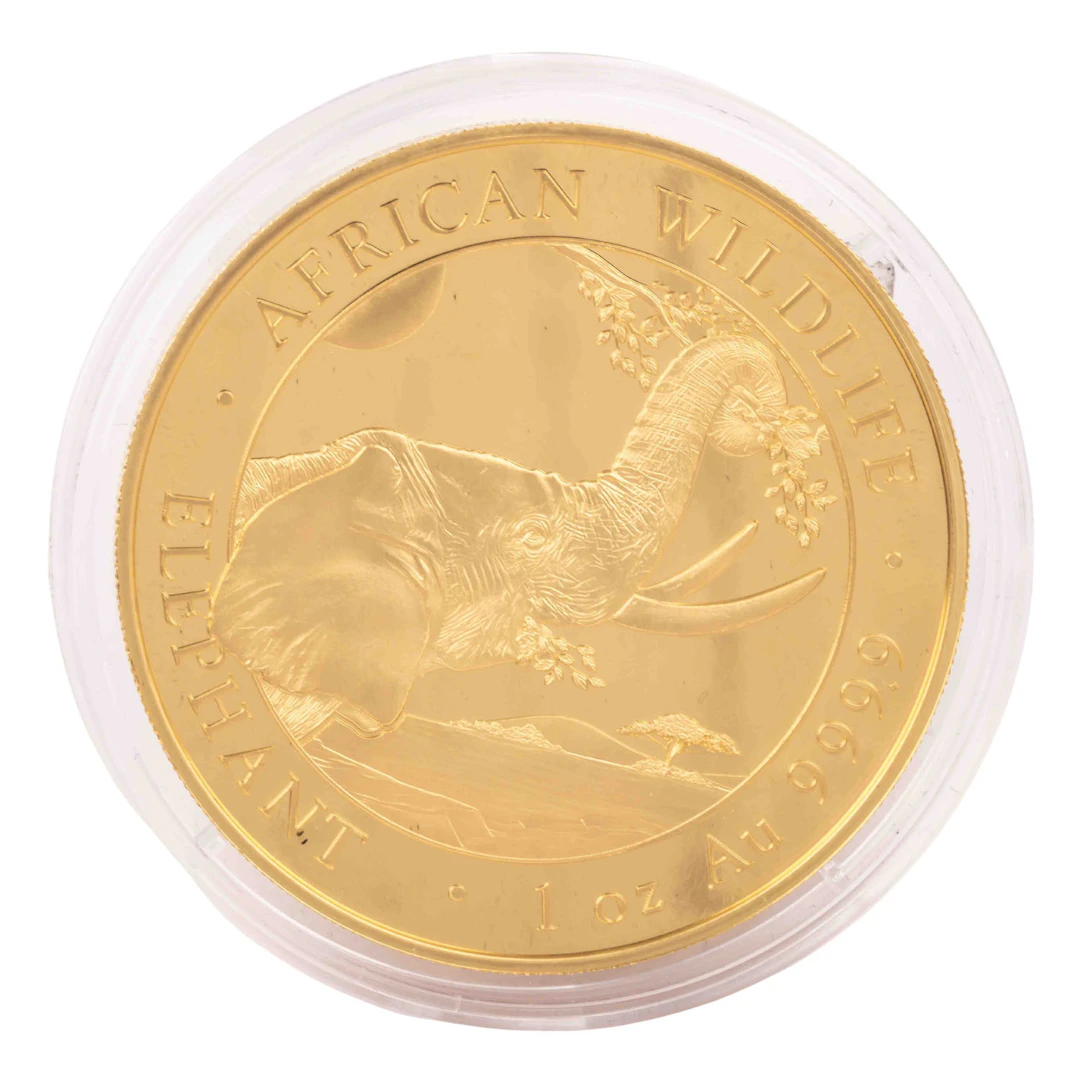 African Wildlife - Elephant 1 Unze Gold, 1.000 Shillings 2023 PP