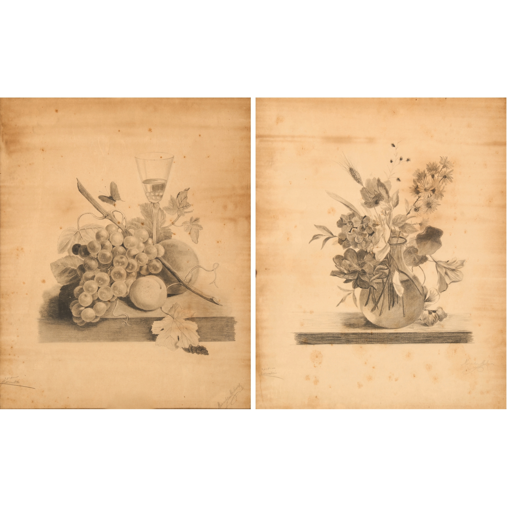 Lote 1445-100€ | Lamas Bolaño