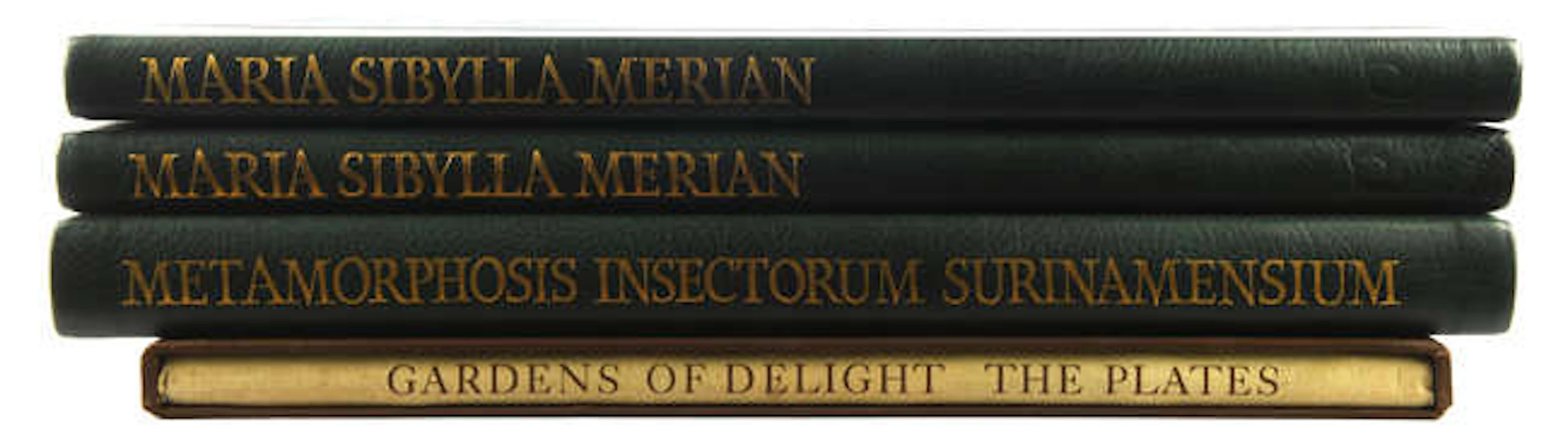 METAMORPHOSIS INSECTORIUM SURINAMENSIUM, by Mariam Sibyllam Merian