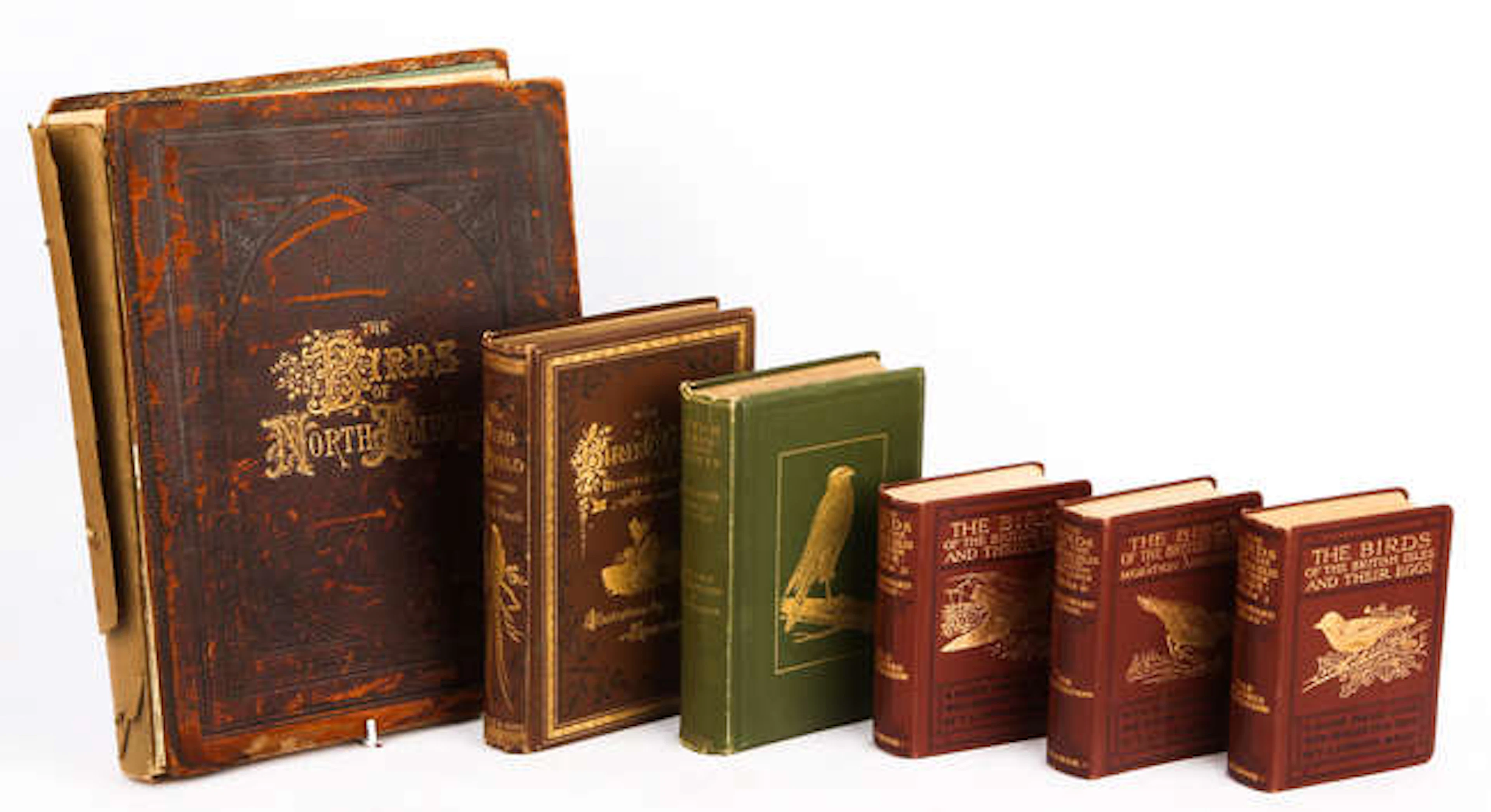 The Birds of North America, New York, Sterling Press, late 19th century