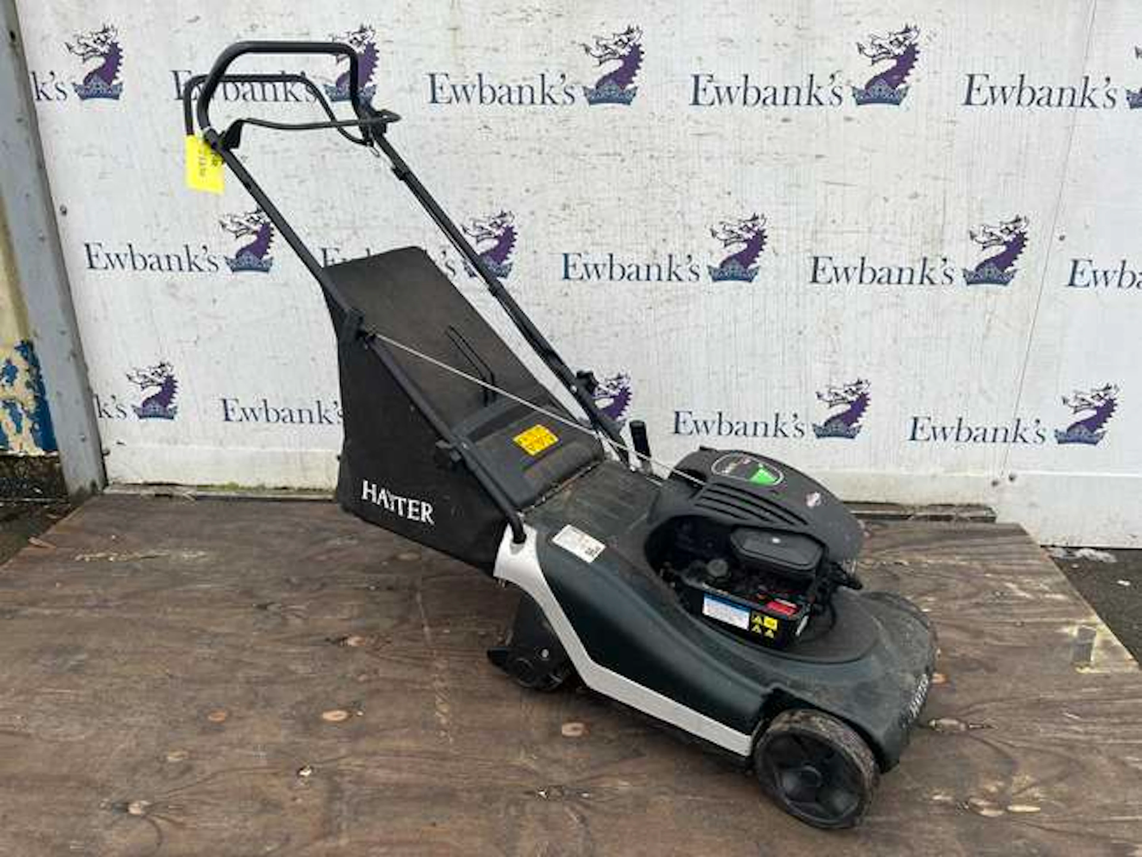 Hayter Harrier 41 petrol lawn mower