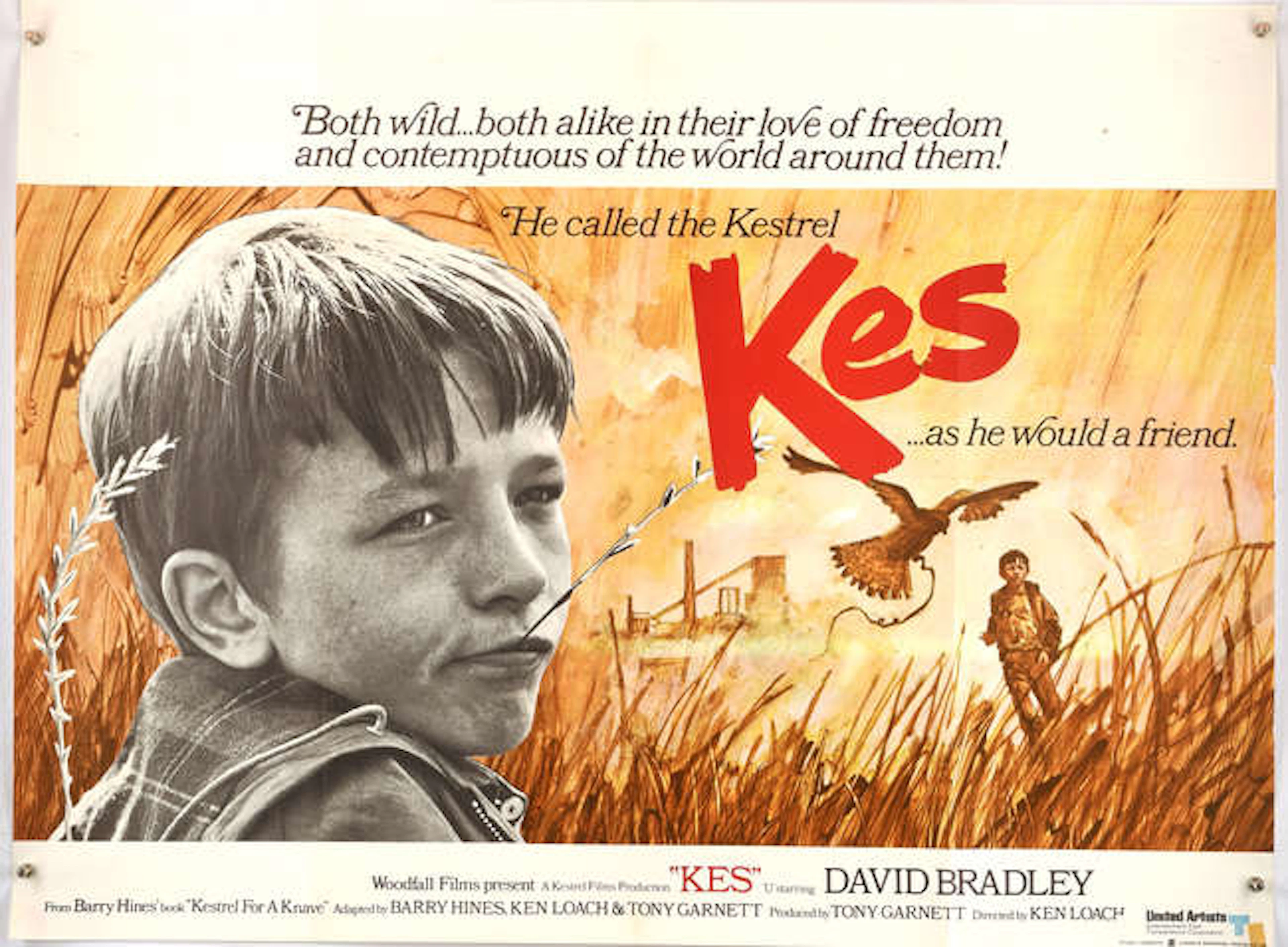Kes (1969), British Quad Film Poster for this coming of age kitchen
