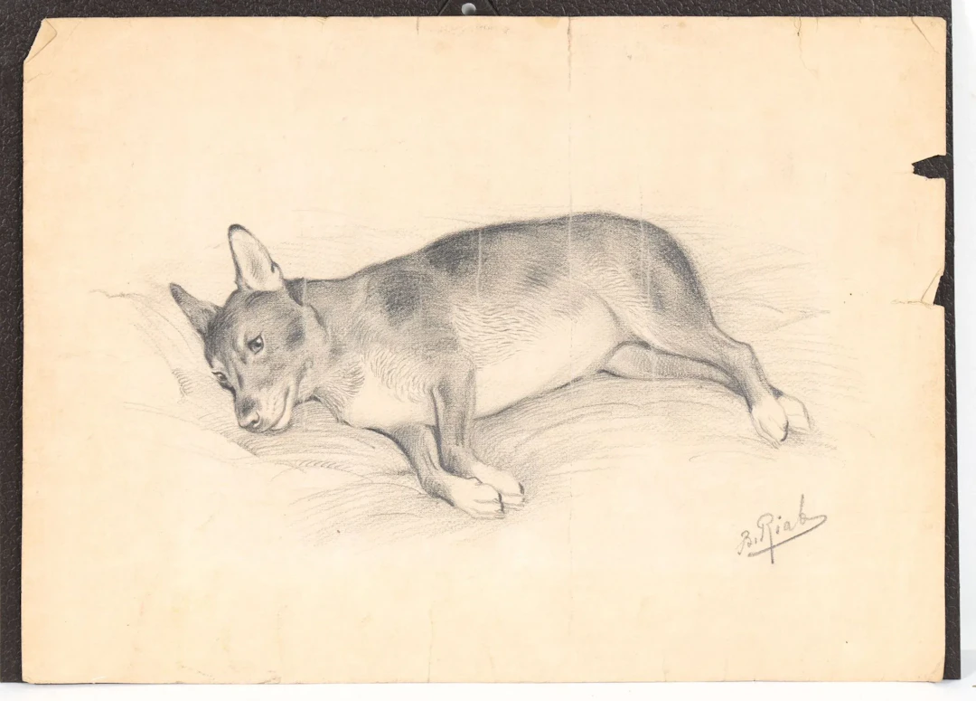 RIAB (RIABOUCHINSKY Boris, 1898–1975) Reclining Dog Pencil on paper