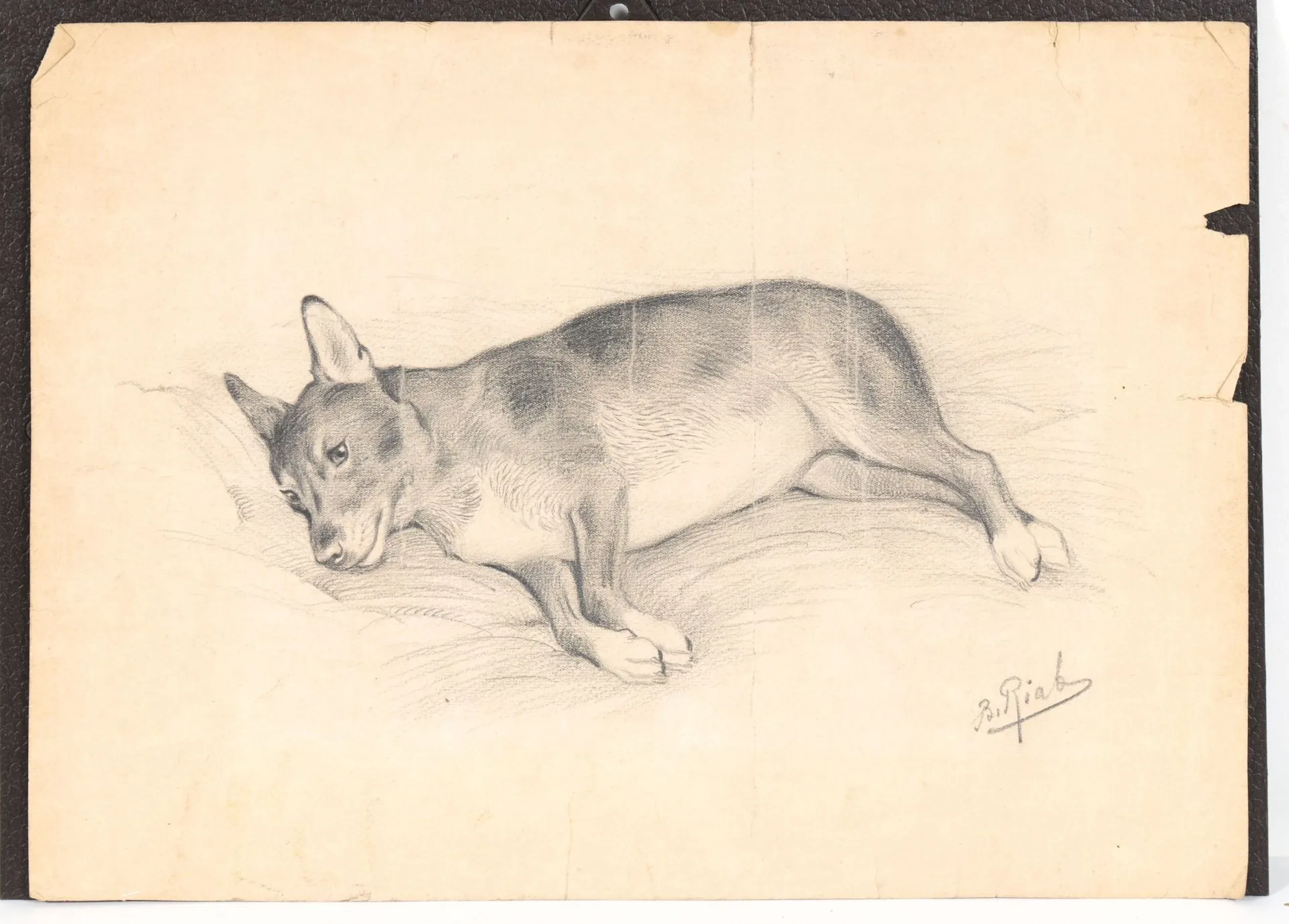 RIAB (RIABOUCHINSKY Boris, 1898–1975) Reclining Dog Pencil on paper