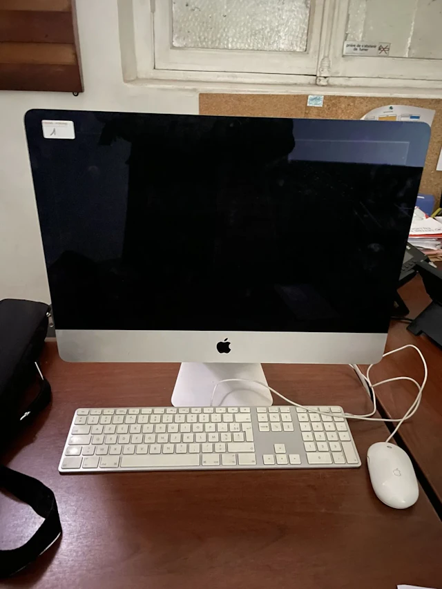 APPLE - Lot 1