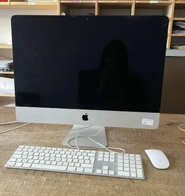 APPLE - Lot 10