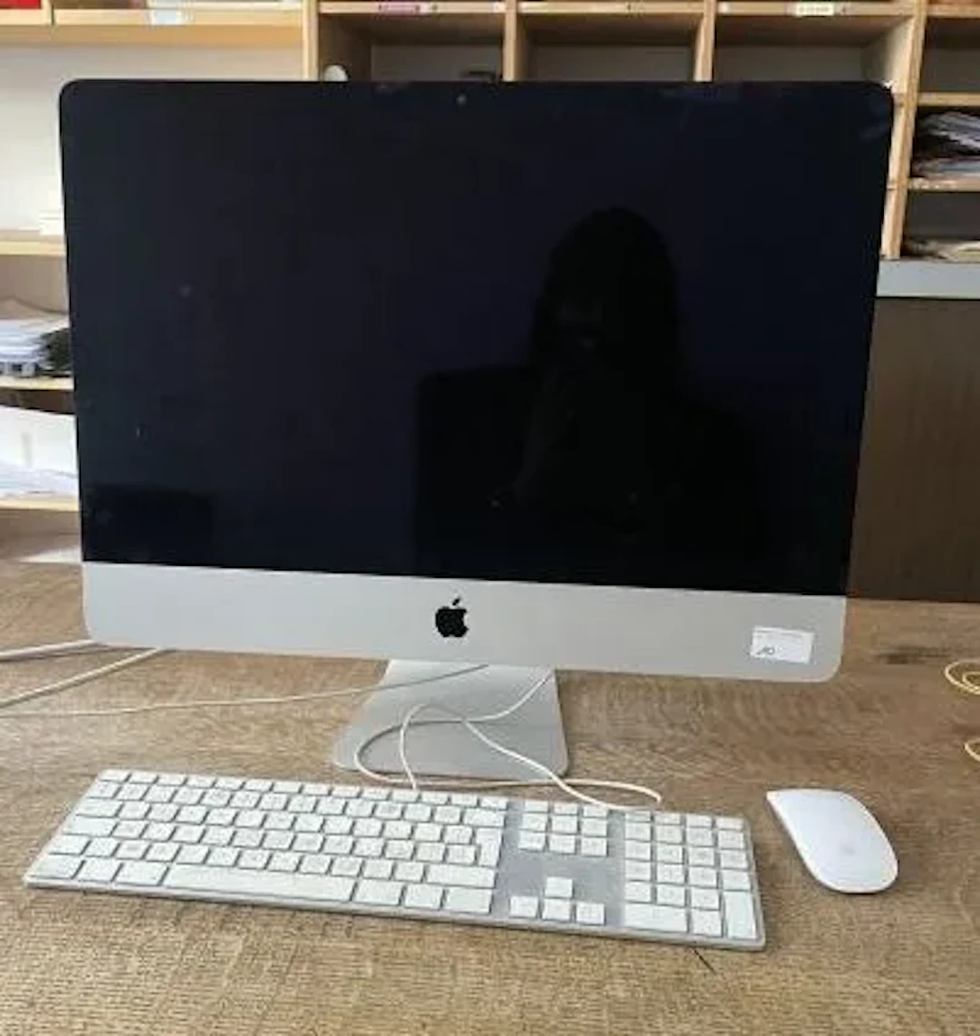 APPLE - Lot 10