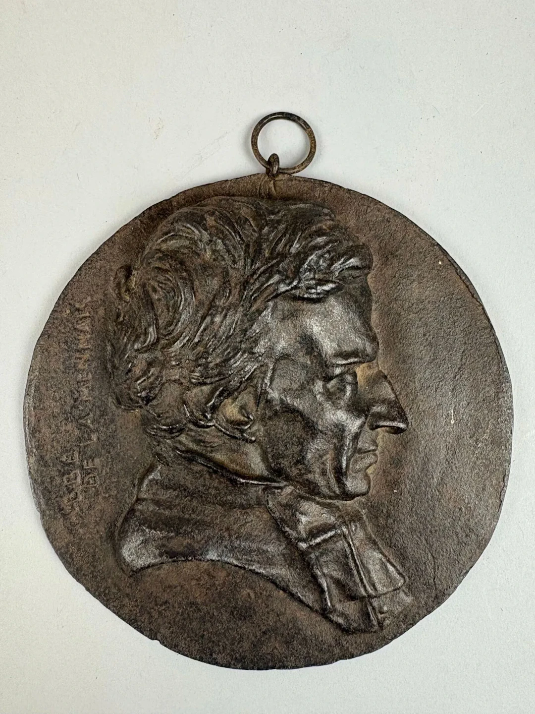 Bronze medallion depicting Georges Cuvier in high relief, vi - Lot 256