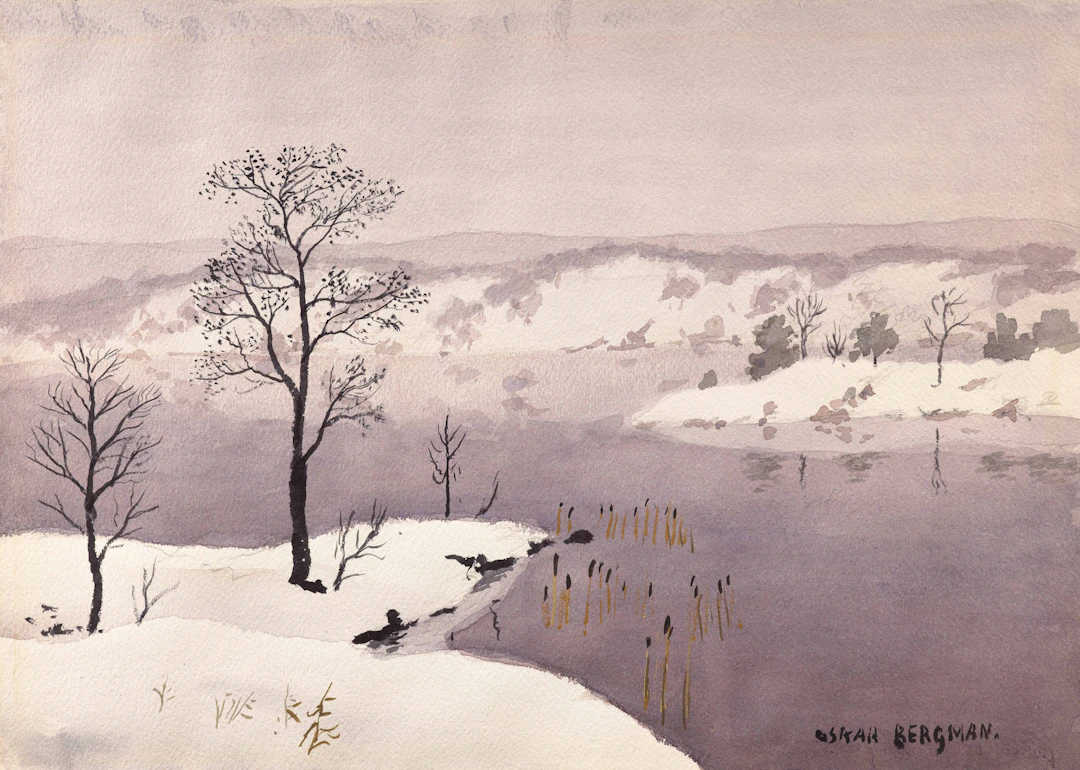 Paysage en hiver