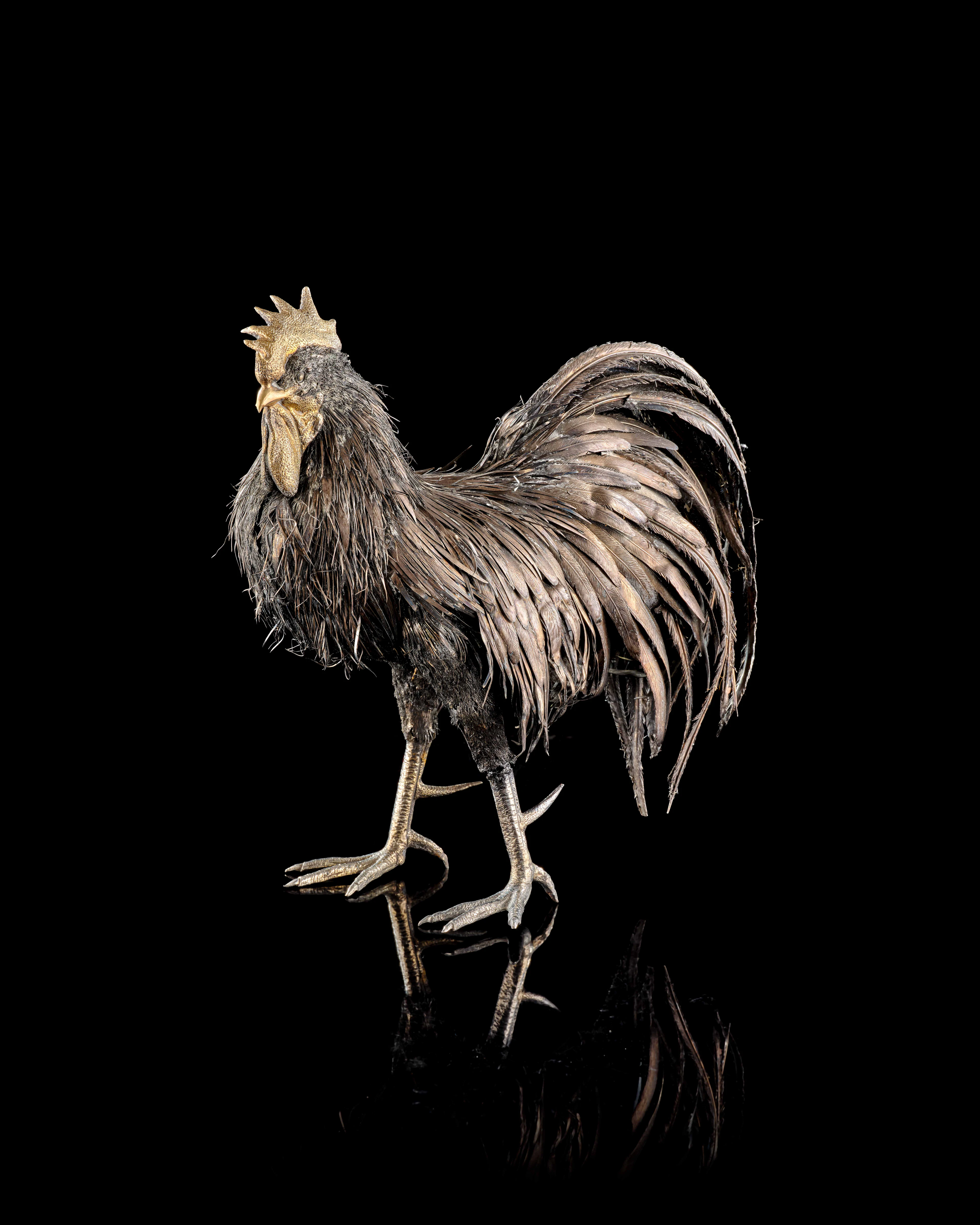 COQ EN ARGENT