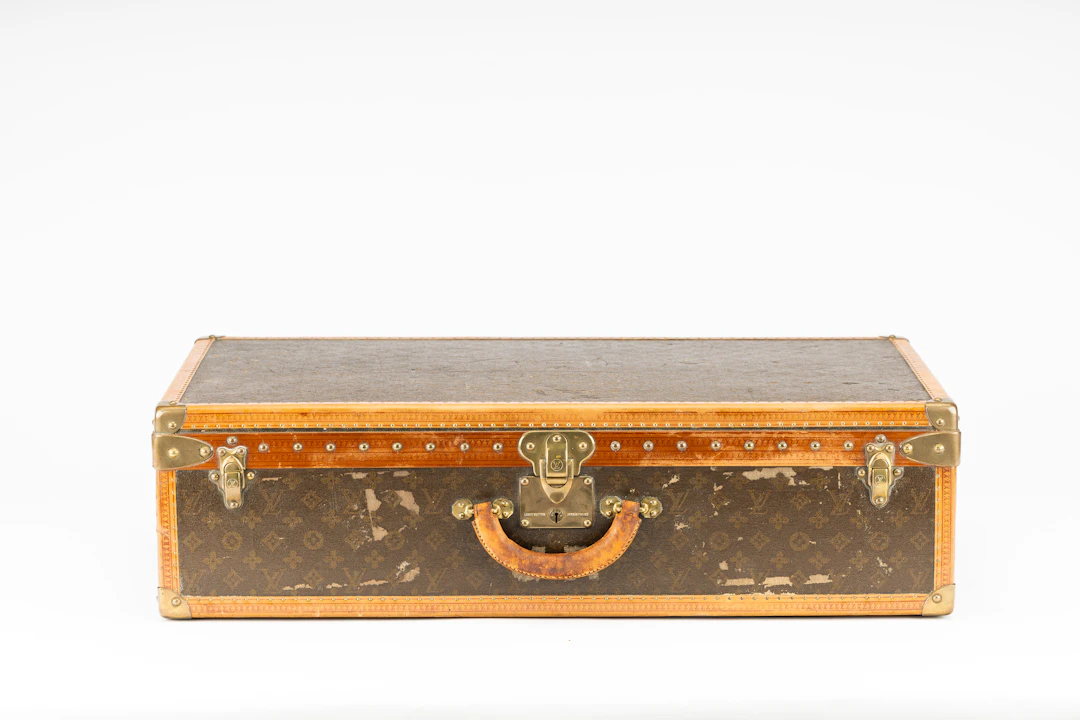 Louis Vuitton - Valise "Alzer"