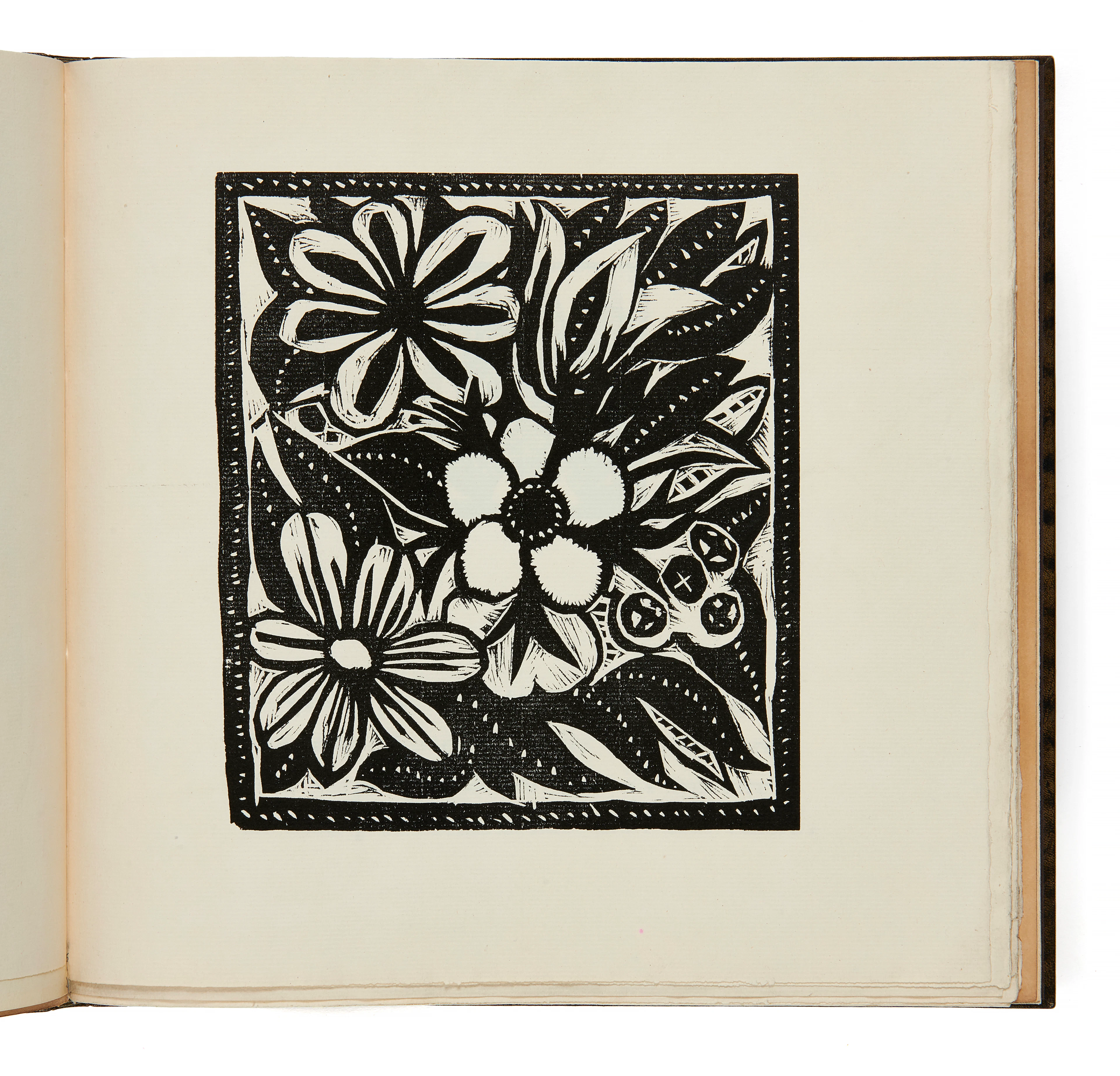 - [DERAIN].– DALIZE (René), APOLLINAIRE (Guillaume), SALMON (André)