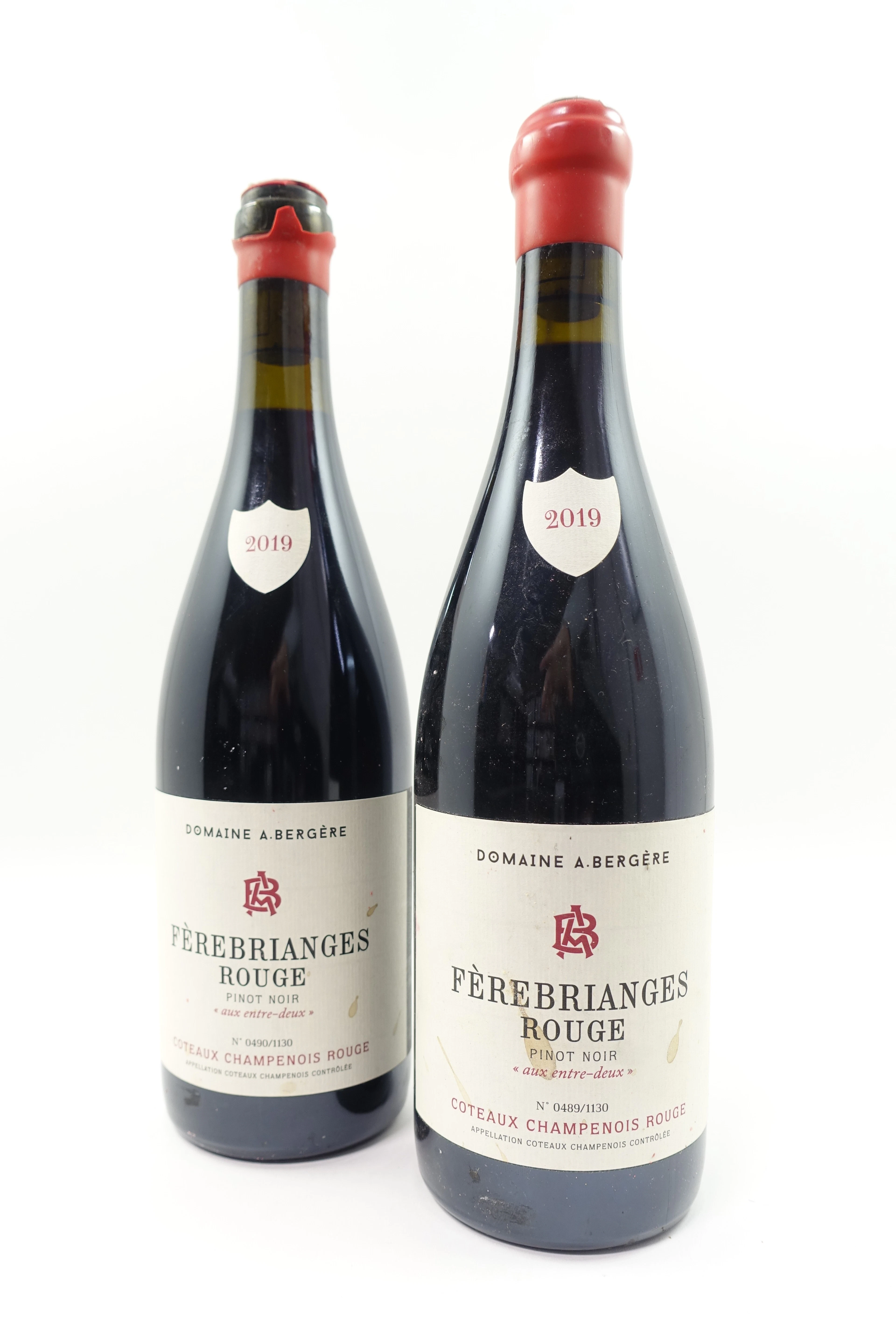 2 bts COTEAUX CHAMPENOIS 2019 Fèrebrianges rouge. Pinot Noir "Aux