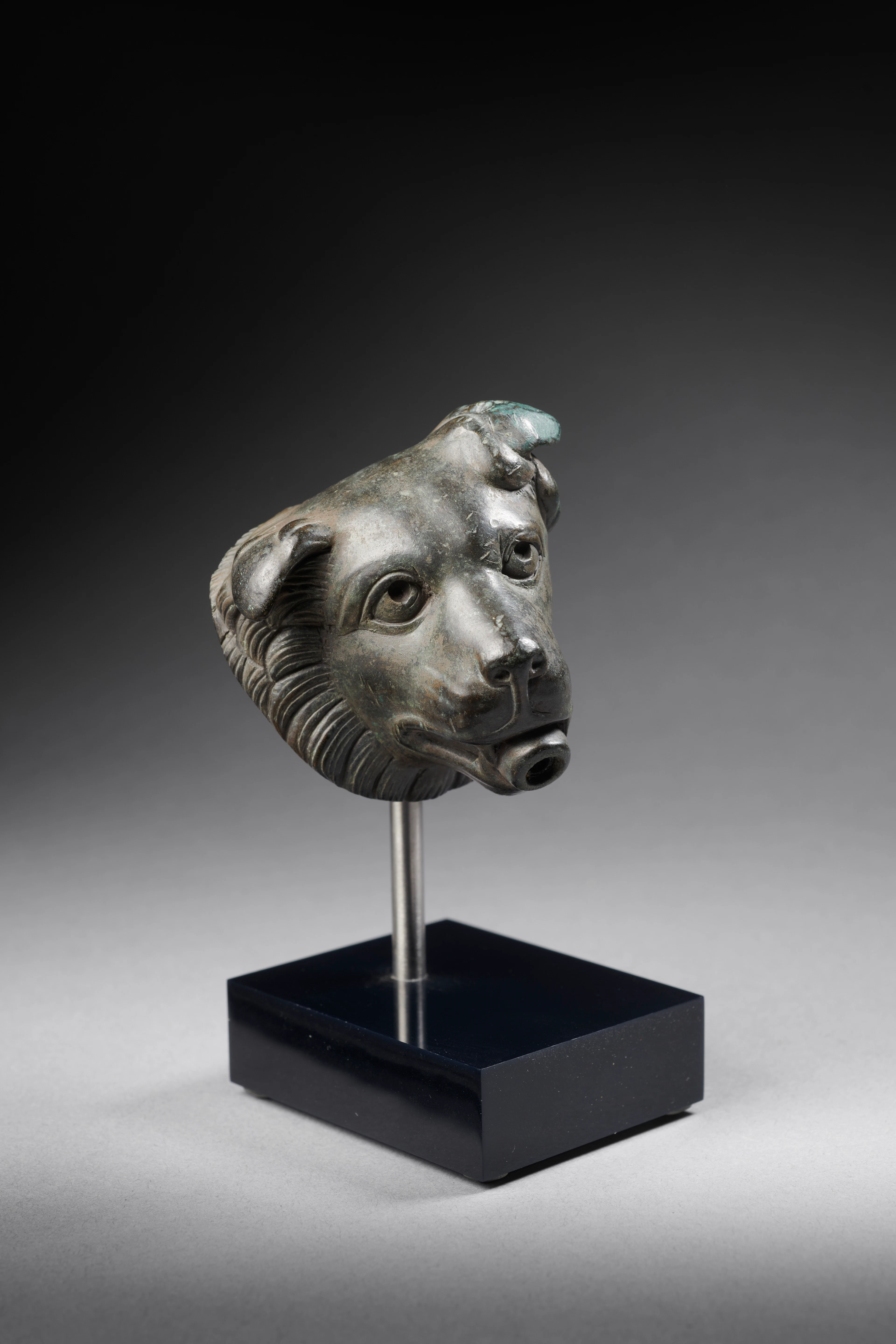 A Roman bronze head of a molossian hound