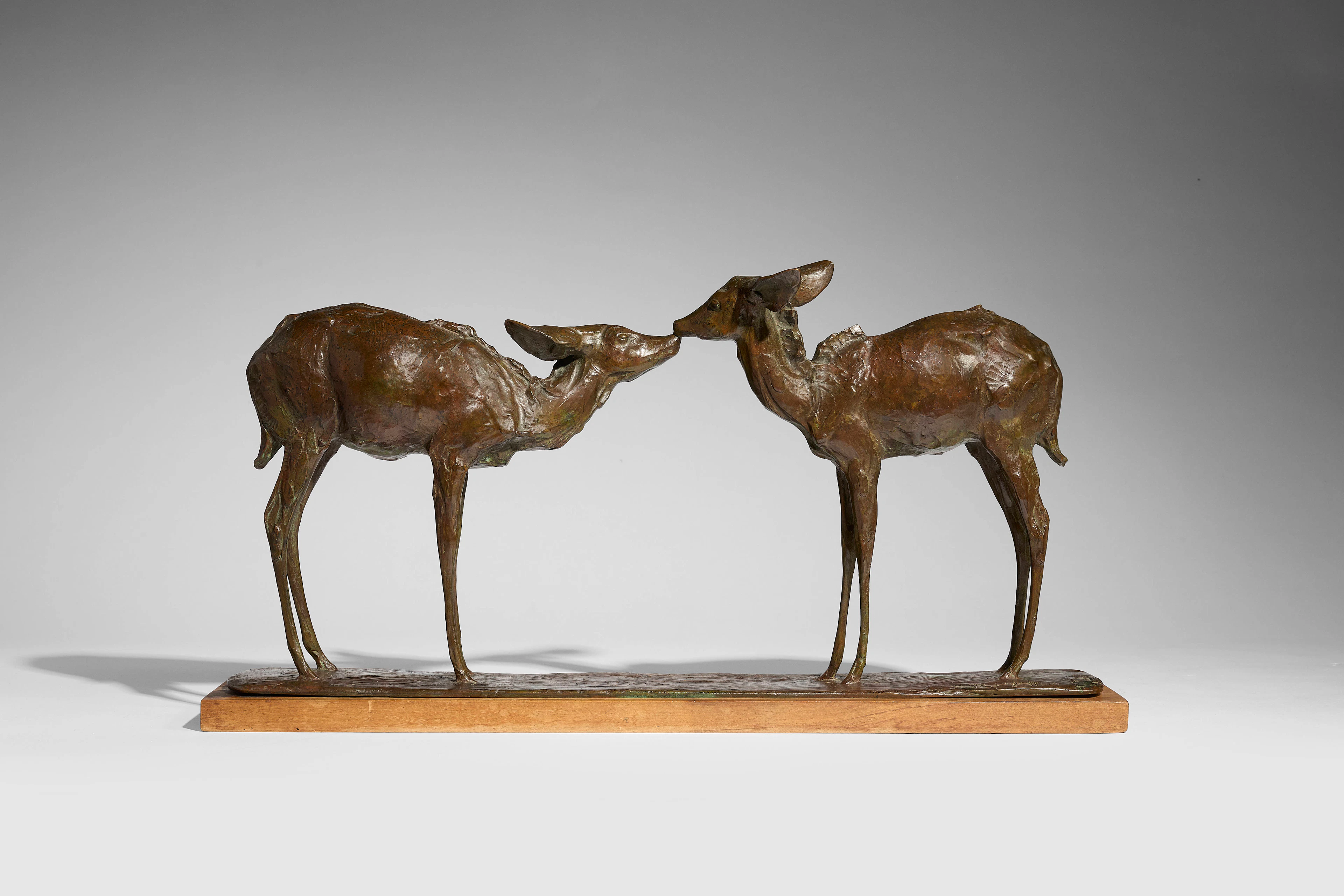 - Petites antilopes goudou ou koudou - circa 1904-1934