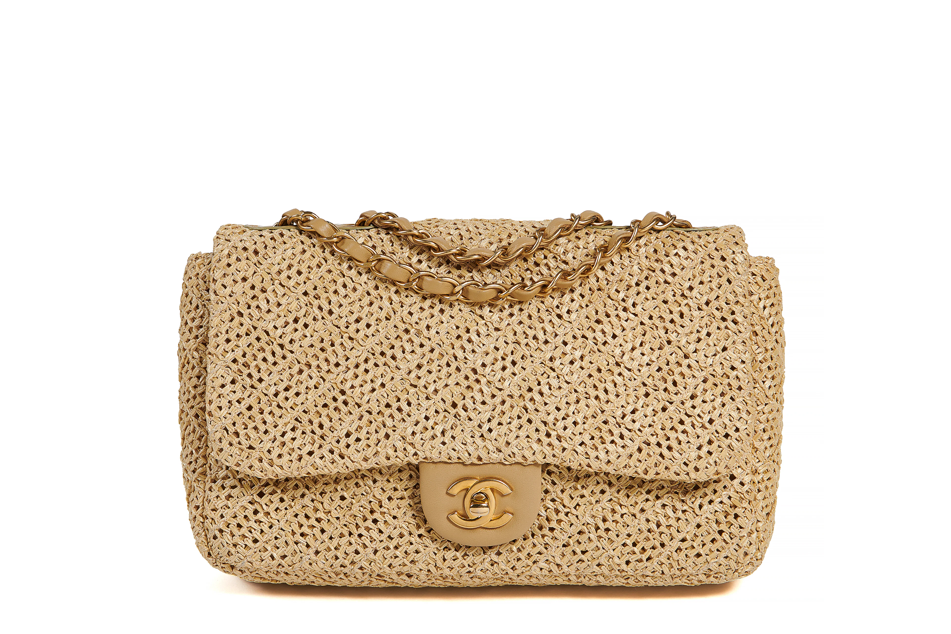 CHANEL PAILLE TIMELESS Bag