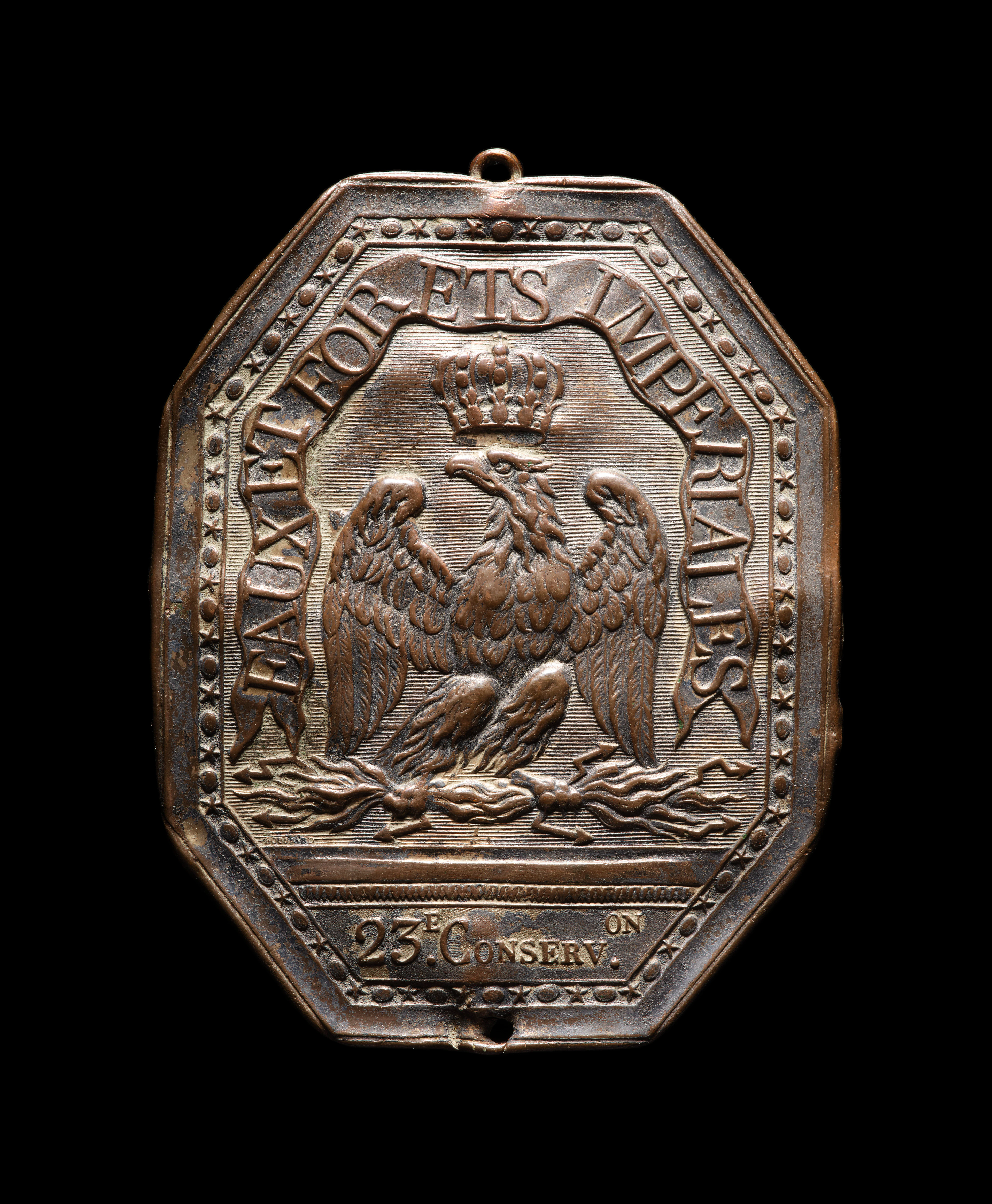 PLAQUE DE BAUDRIER DE LA 23e CONSERVATION DES EAUX ET FORÊTS D’ÉPOQUE