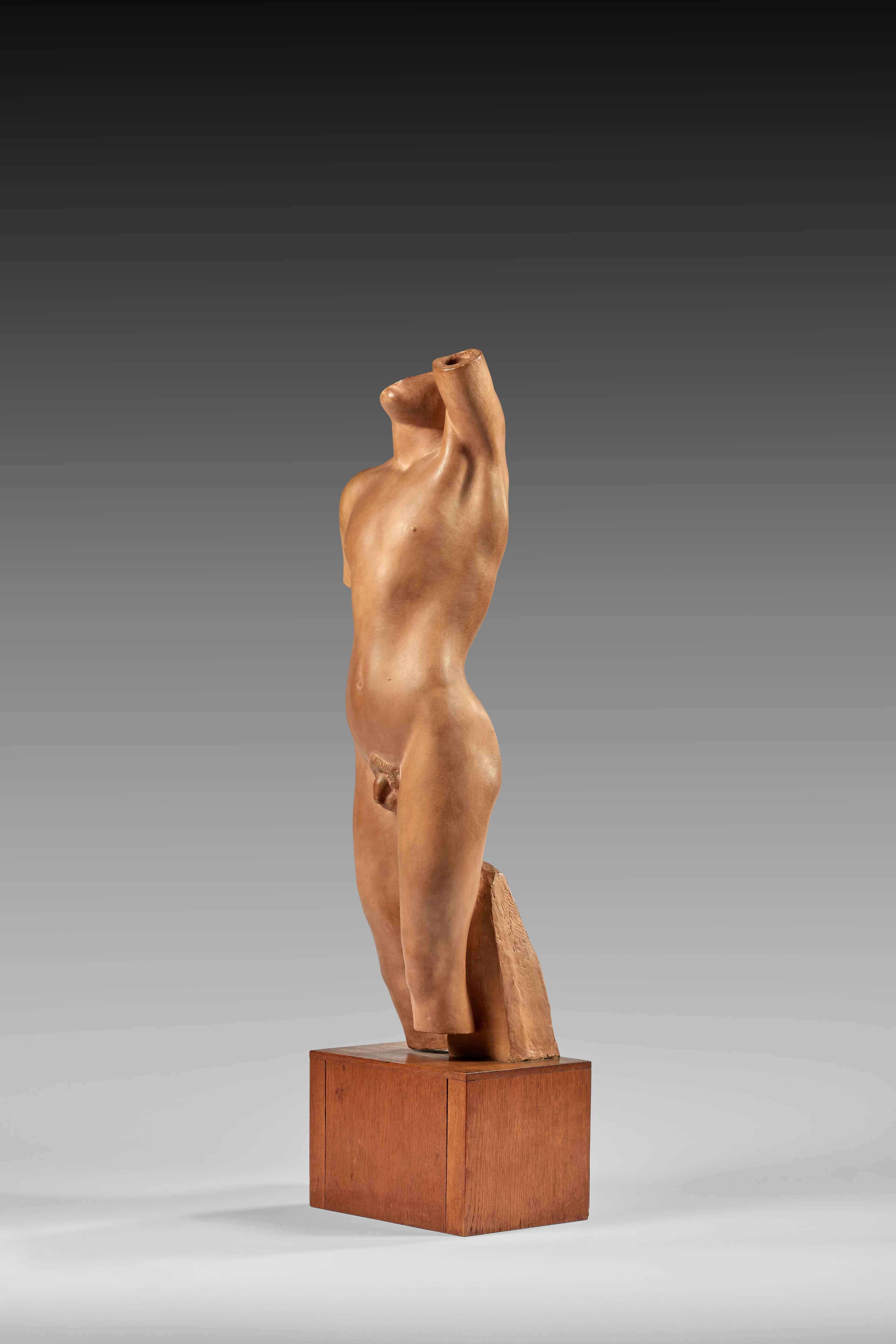 Torse de gitan - 1923