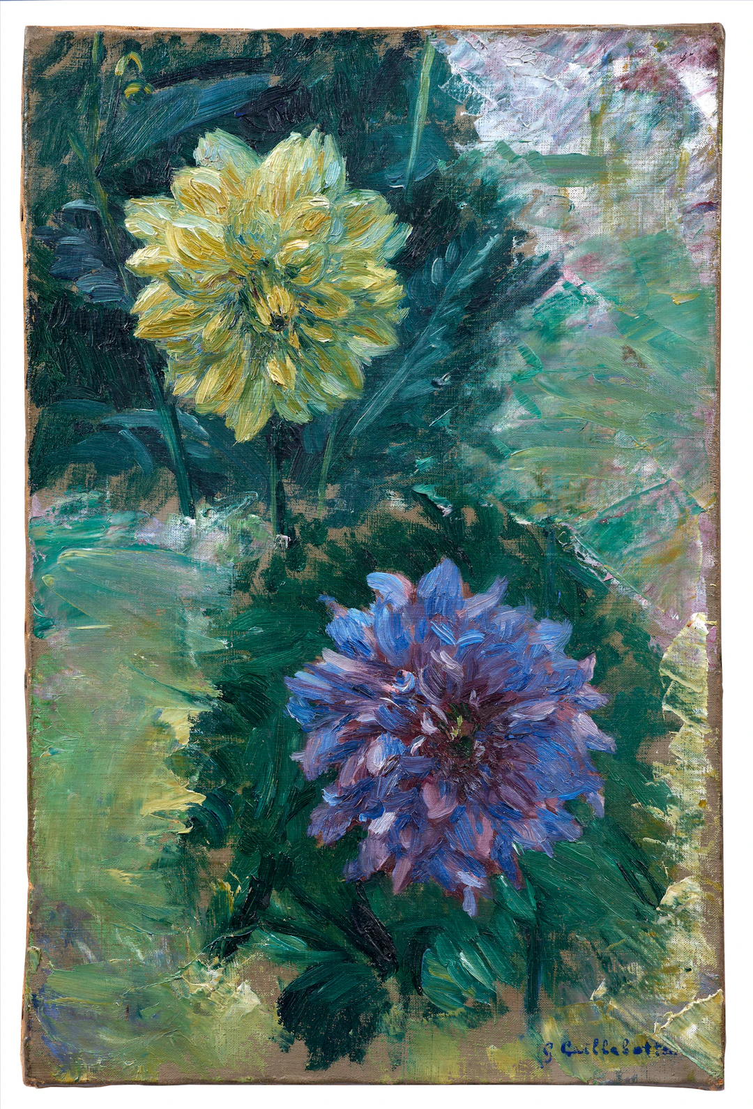 Deux dahlias
