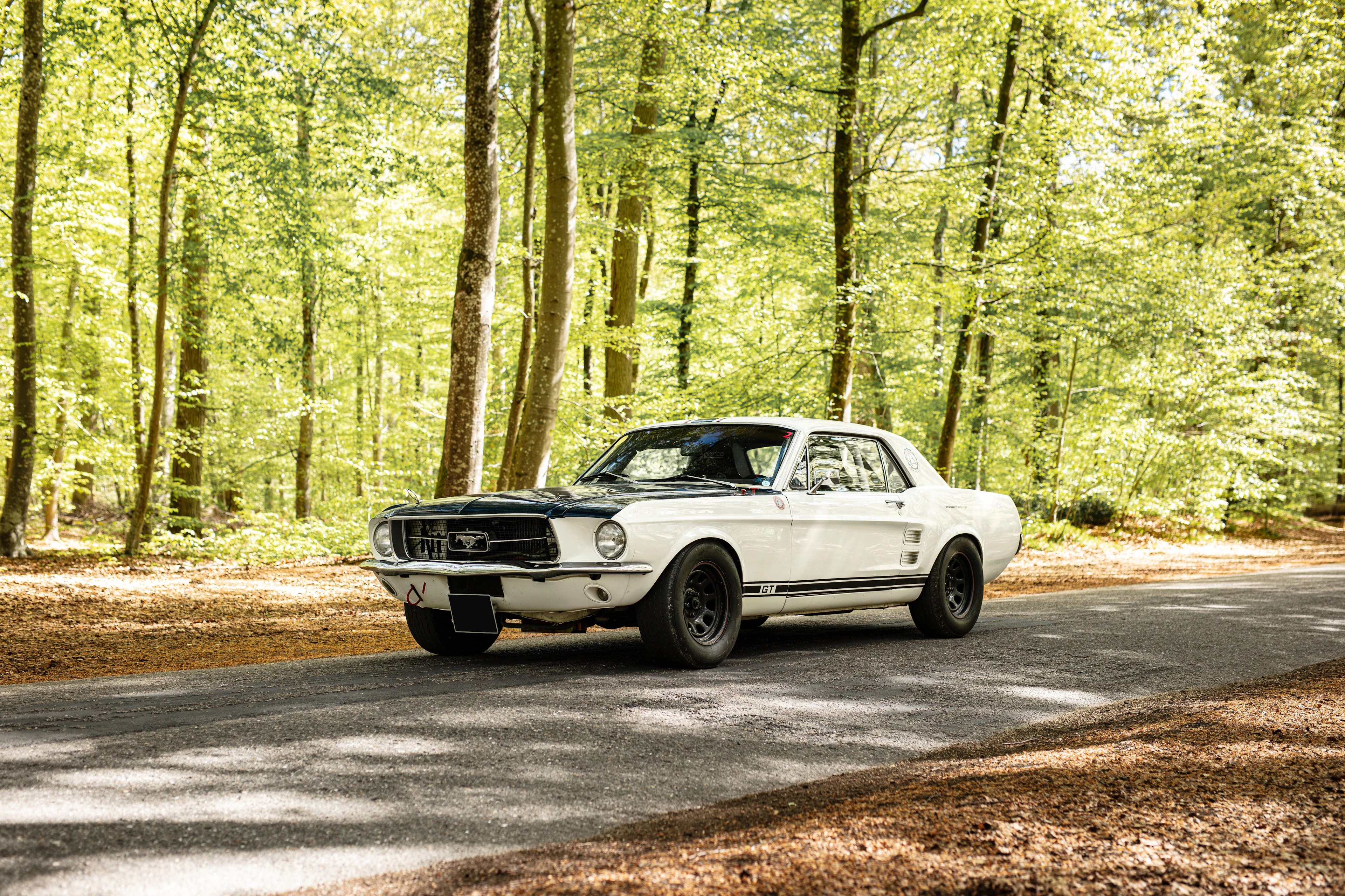 1967 Ford Mustang GT 390 Coupe Code S No reserve
