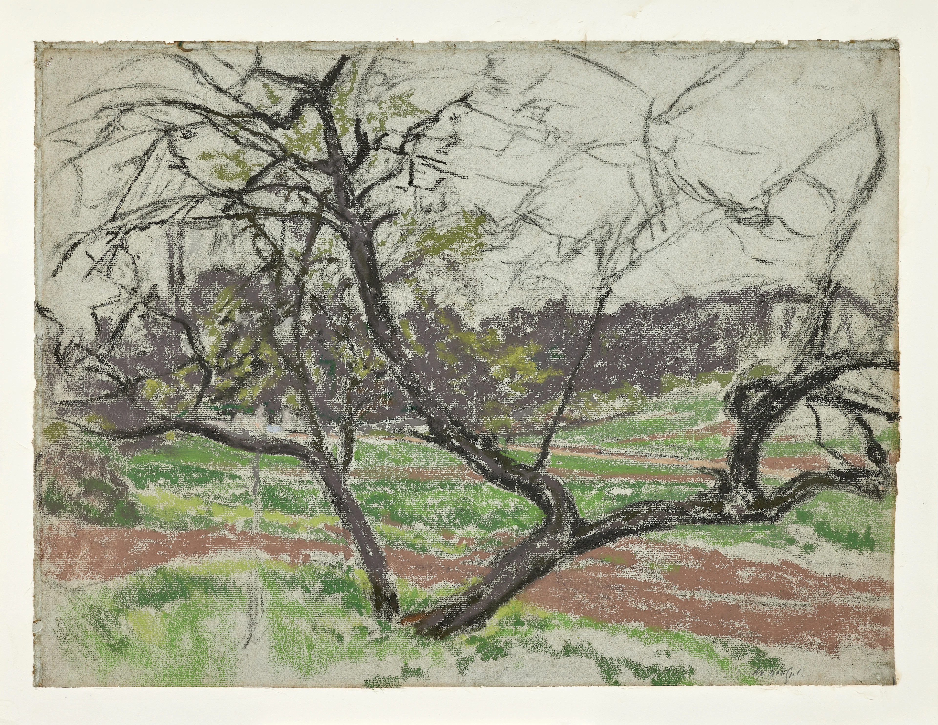 Ker-Xavier ROUSSEL 1867-1944 Arbre en hiver - circa 1905