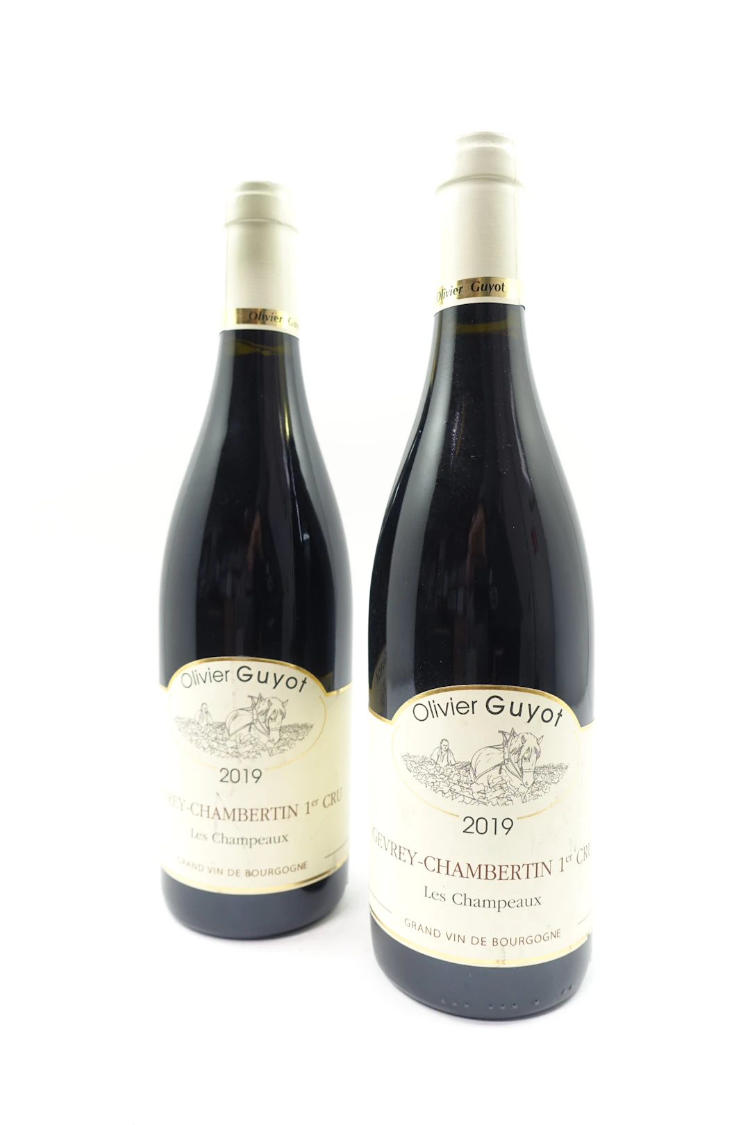 2 bts GEVREY CHAMBERTIN 2019 1er Cru Les Champeaux. Olivier Guyot