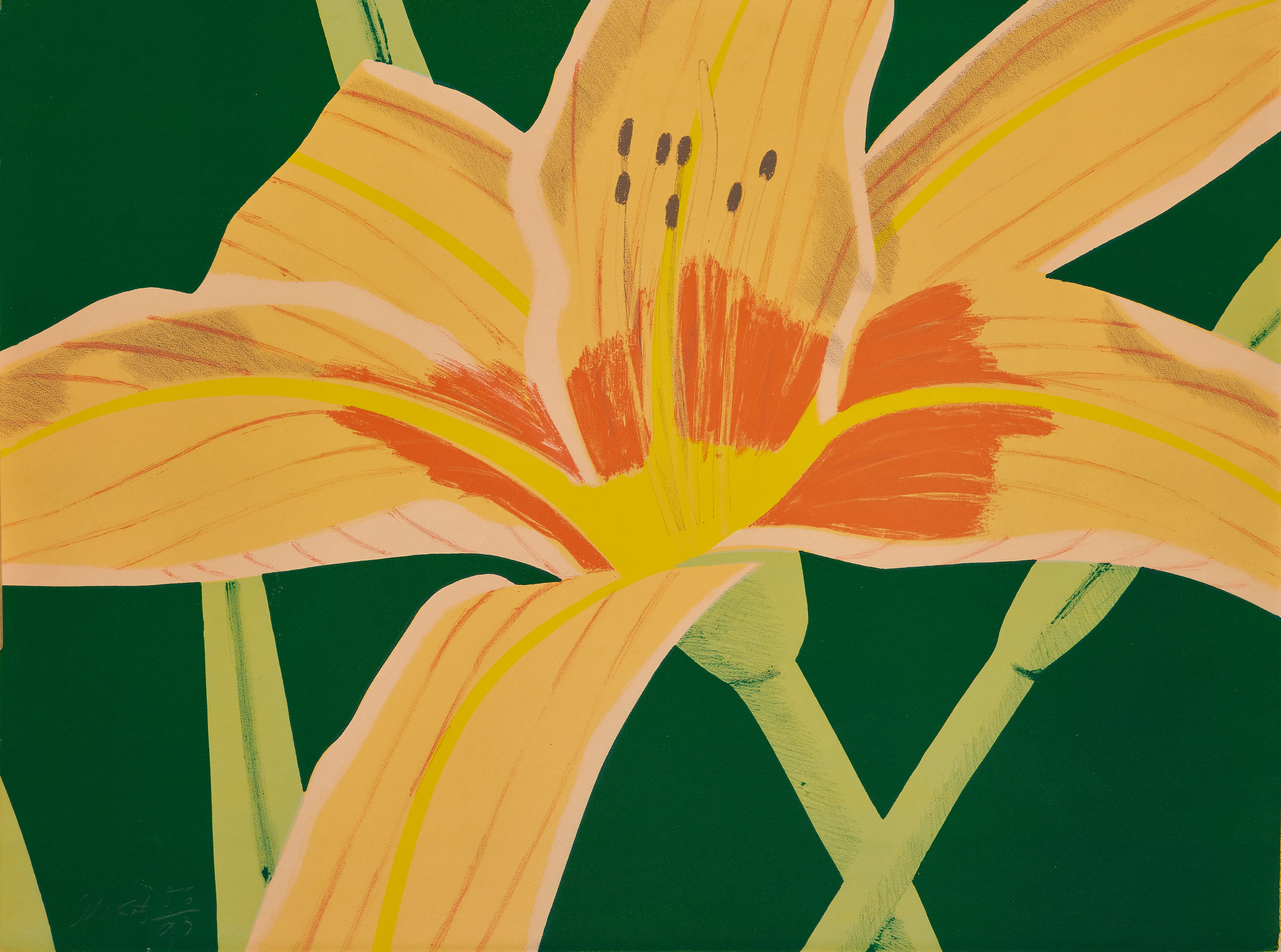 Alex KATZ Né en 1927 Day Lily 2 - 1969