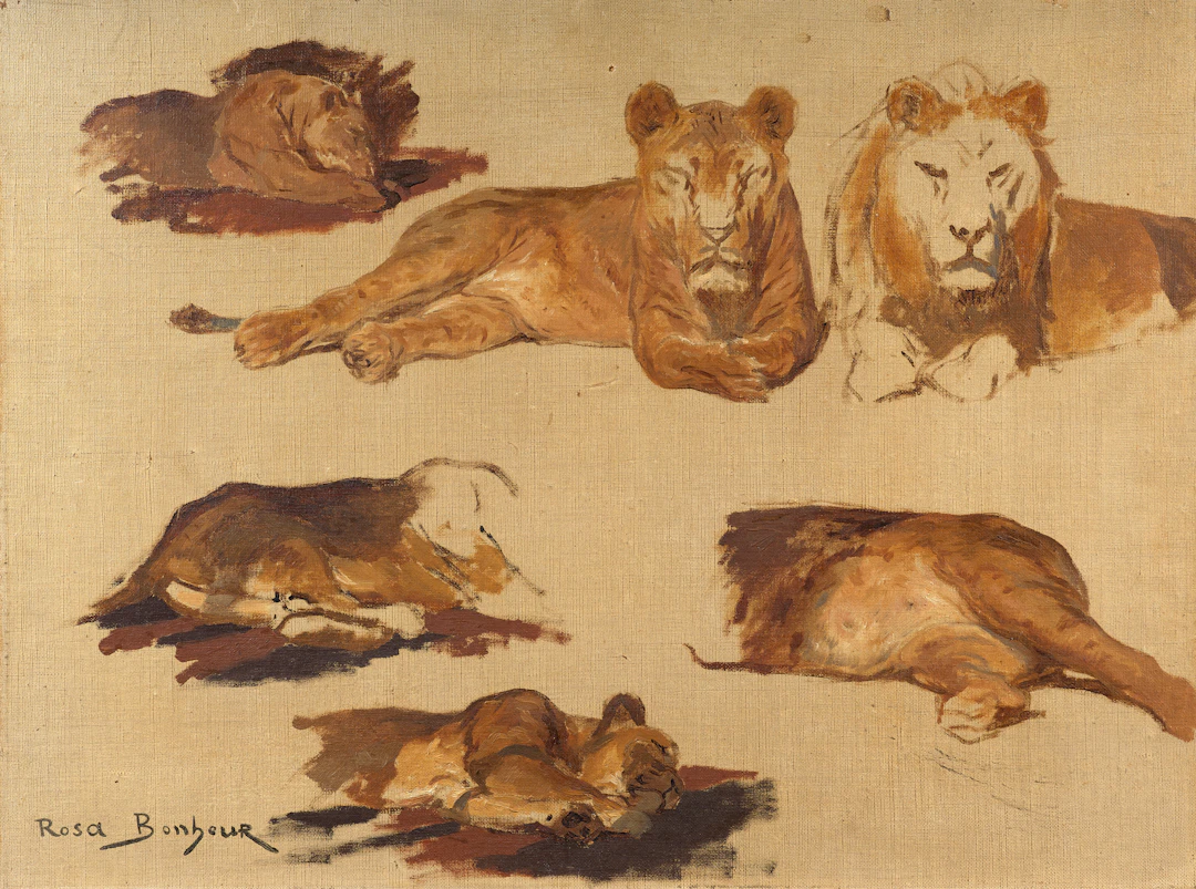 Rosa BONHEUR Bordeaux, 1822 - Paris, 1899 Etude de lionnes et lions