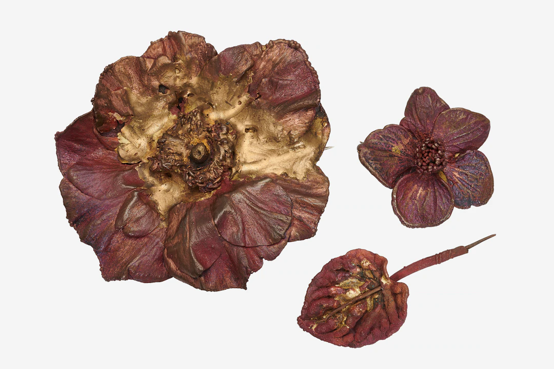 Attribué à Claude LALANNE (1925-2019) Deux broches "Anémone"