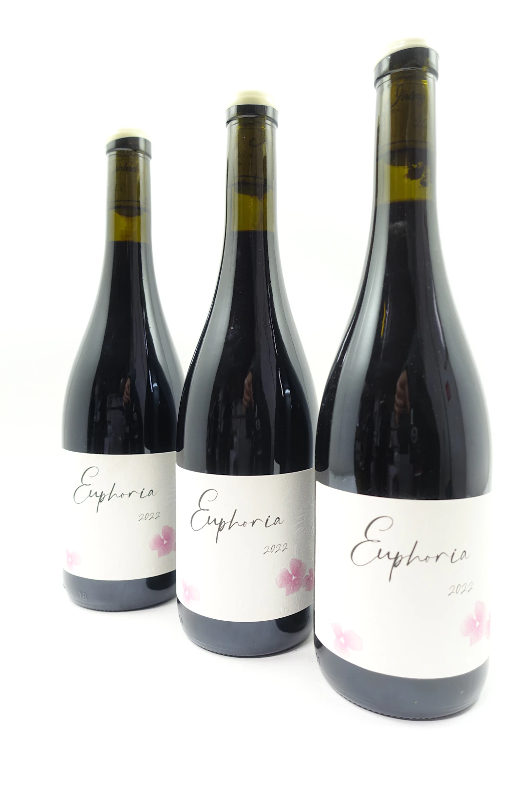 10 bts BOURGOGNE HAUTES COTES DE BEAUNE 2022 (rouge) Euphoria. Jérémy Carteret