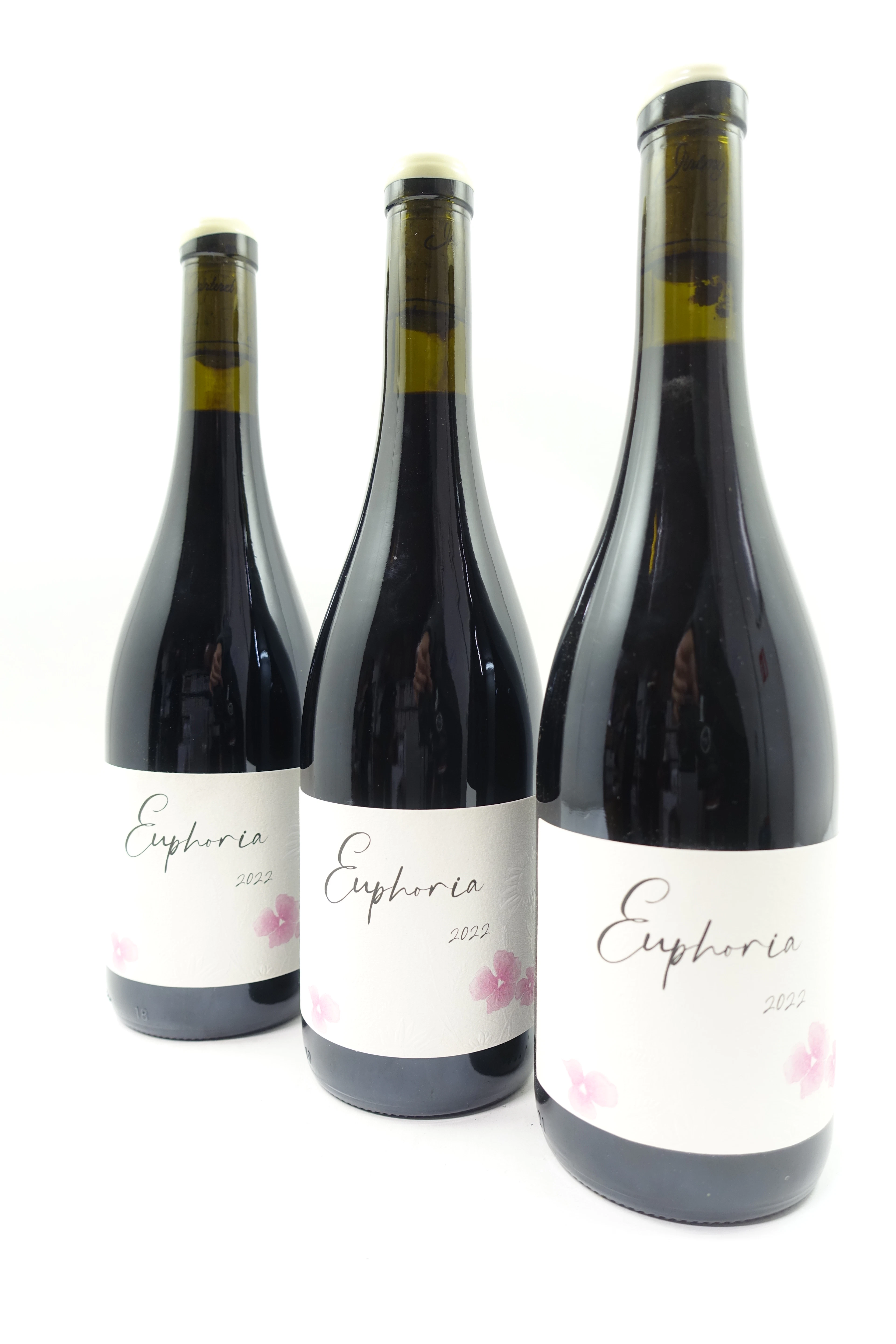 10 bts BOURGOGNE HAUTES COTES DE BEAUNE 2022 (rouge) Euphoria. Jérémy Carteret