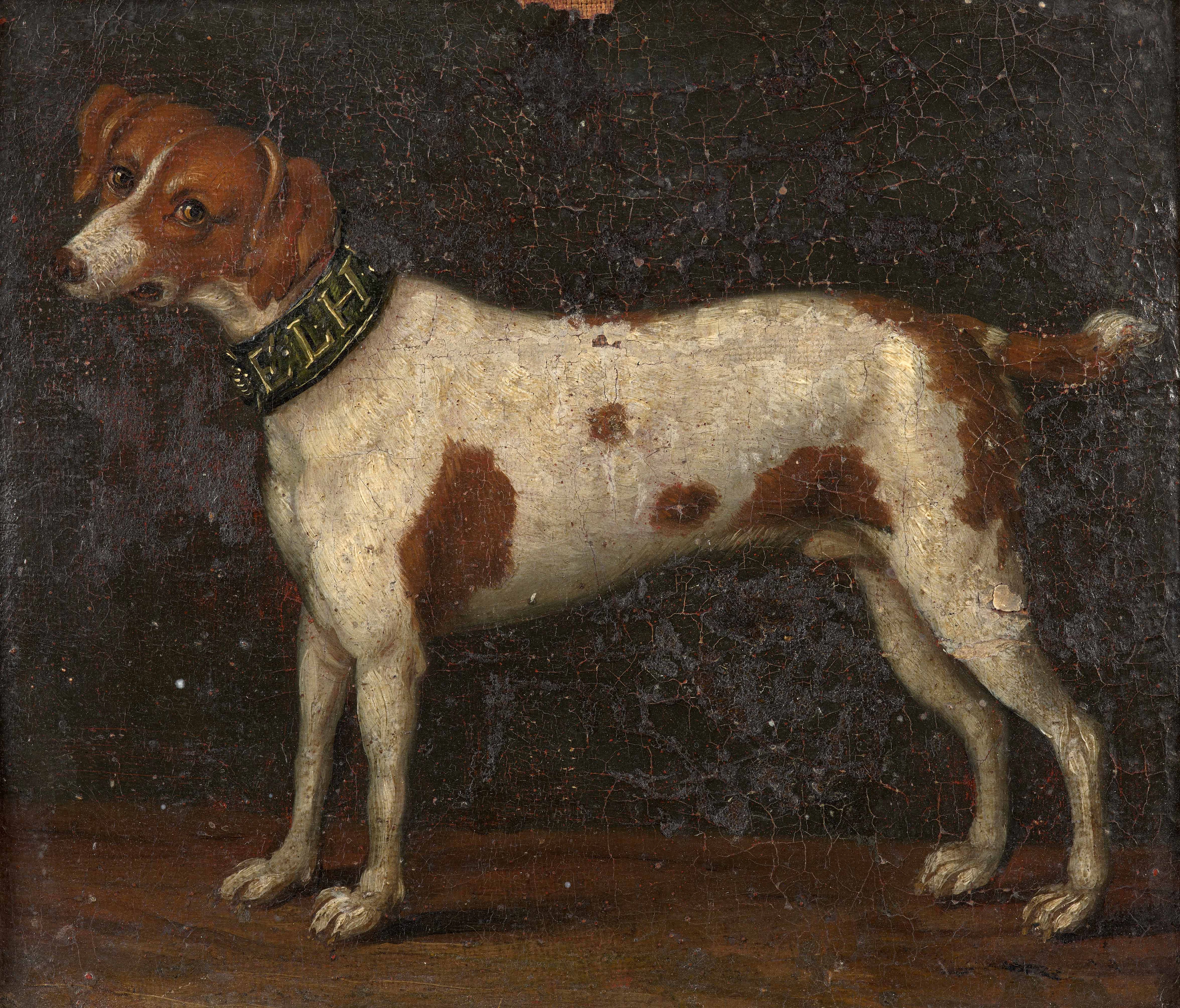 Ecole suisse du XVIIIe siècle Portrait de chien portant sur son collier