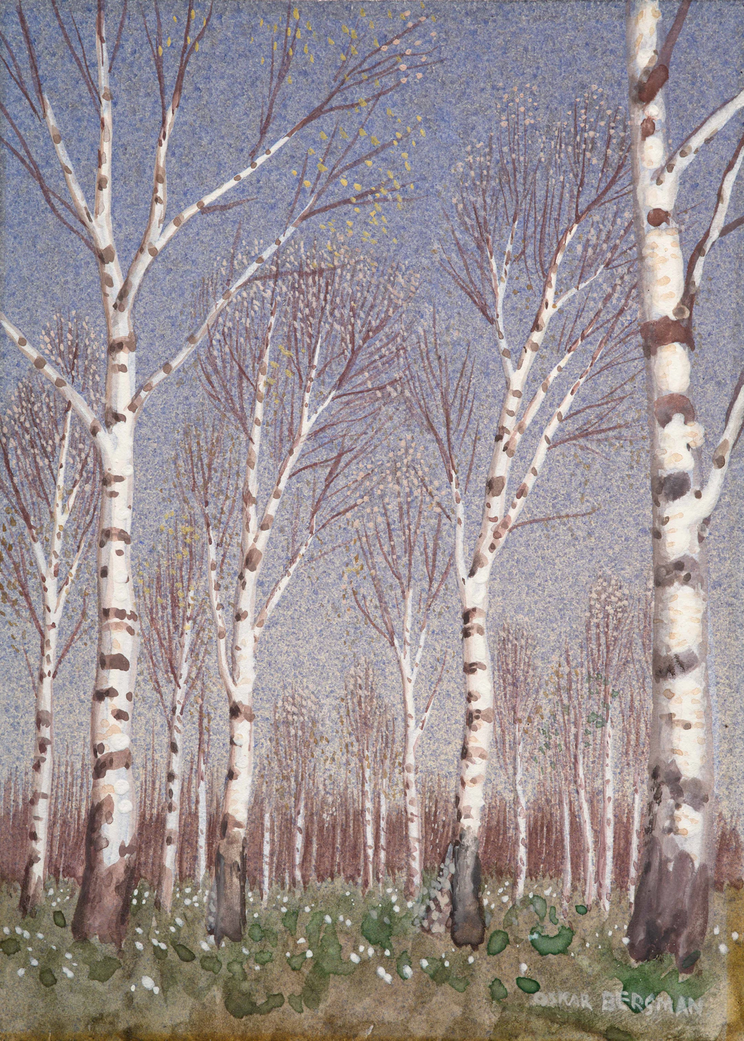 Le bois de bouleaux