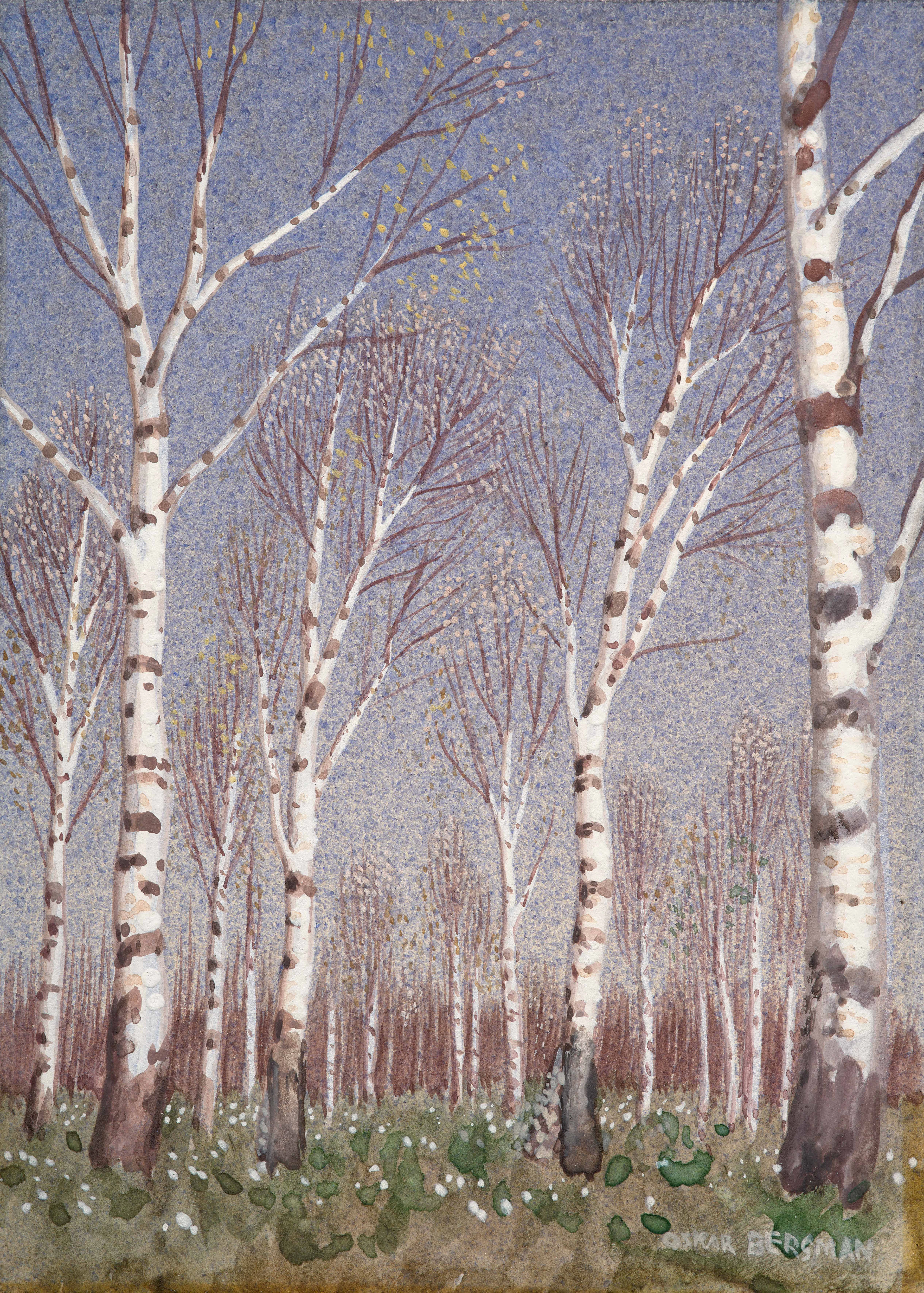 Le bois de bouleaux