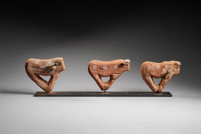 Three Egyptian wood models of trussed calves