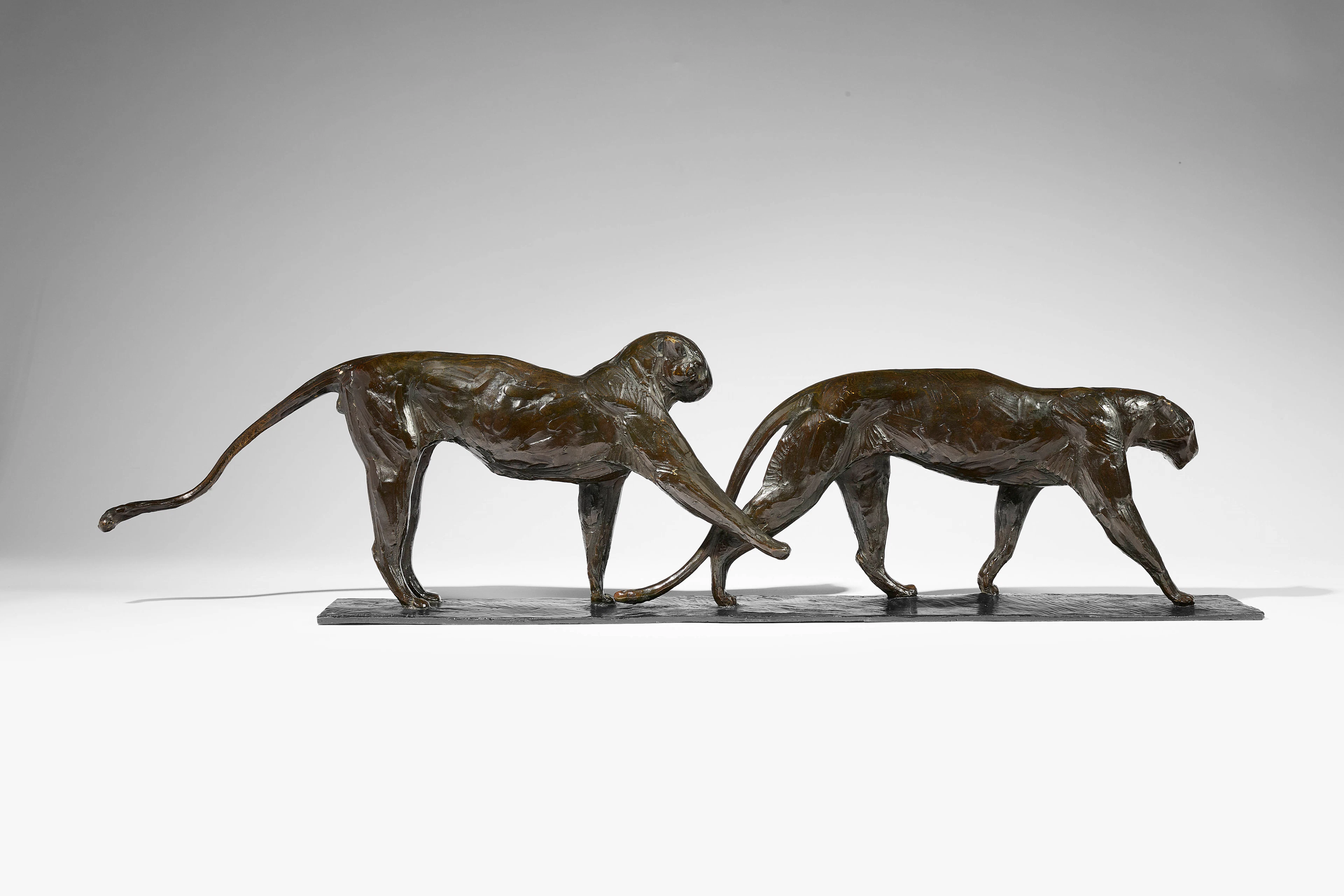 - Deux léopards marchant, le mâle lève une patte – circa 1904-1934