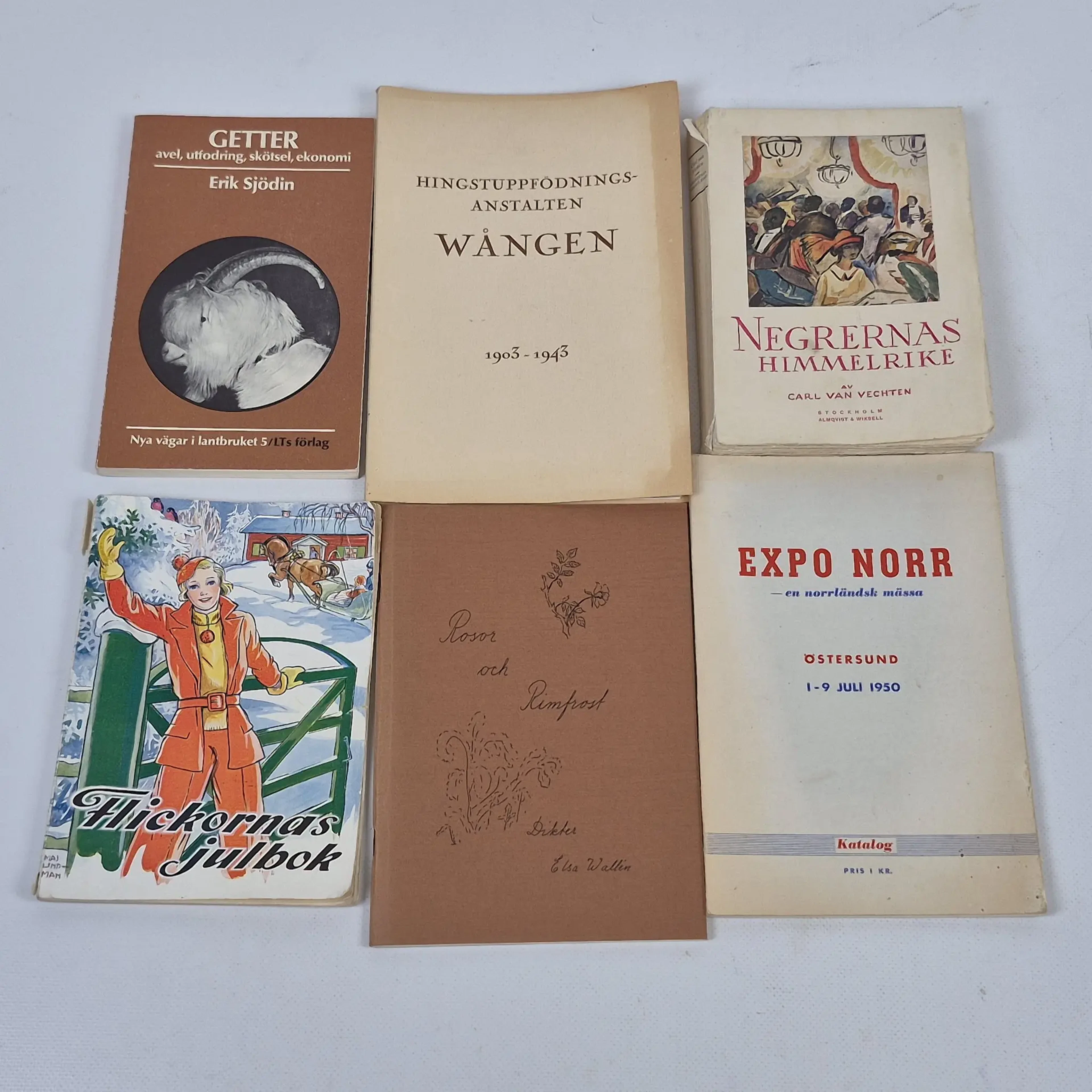 "Expo Norr", "Wången", "Rosor & rimfrost" & "Flickornas julbok" m.m.