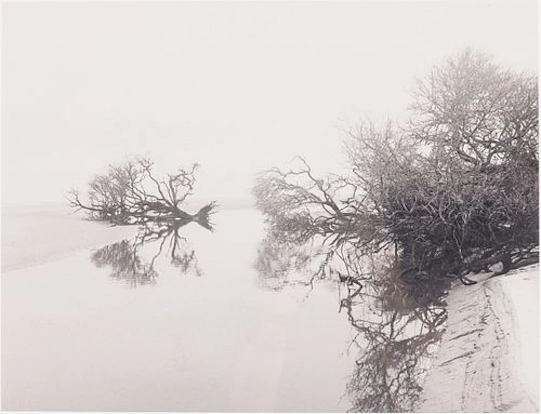Jack Leigh, Ossabaw, Silver Gelatin, Estate Print